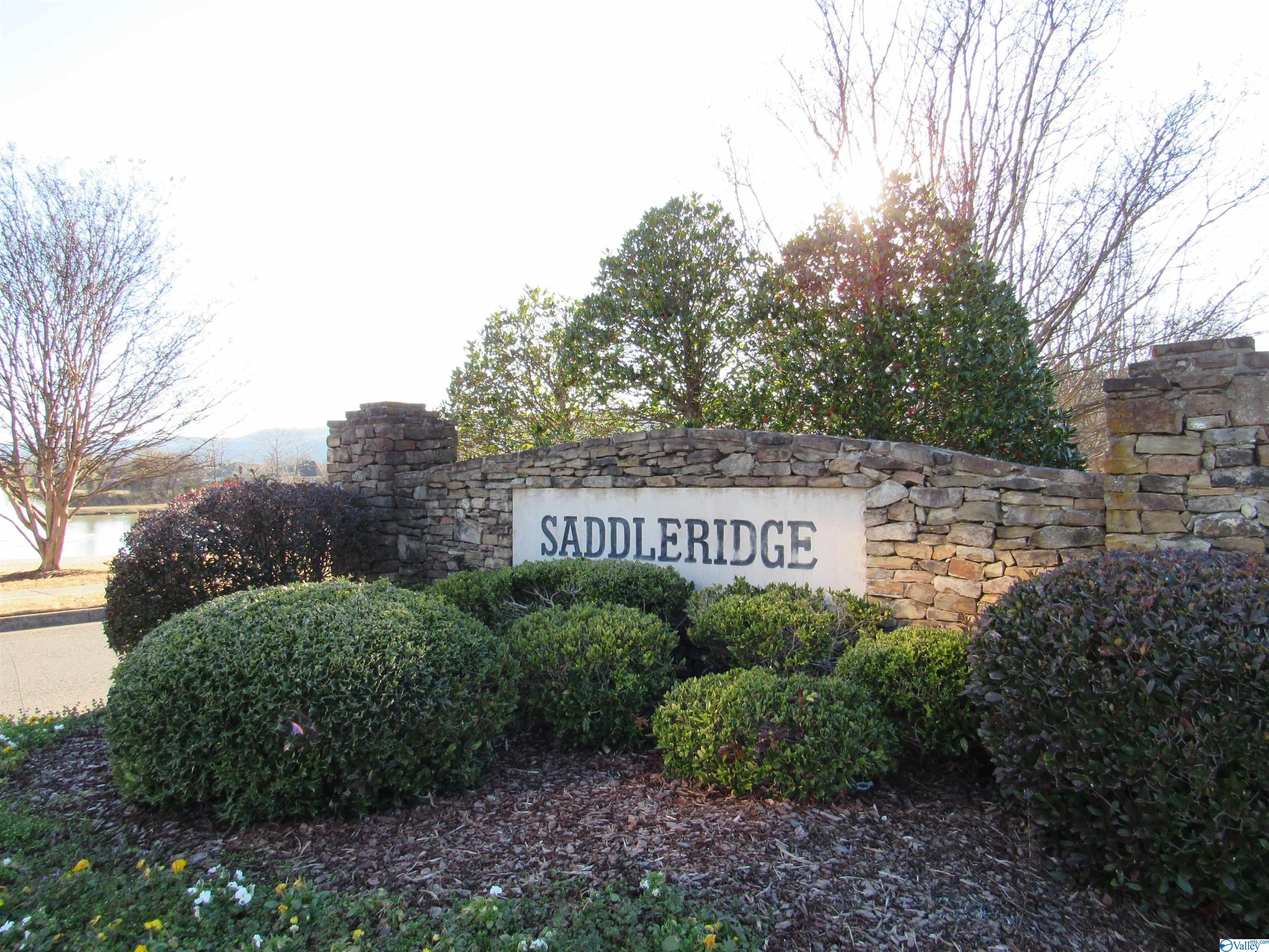 4728 Saddle Ridge Drive, Owens Cross Roads, Alabama image 8