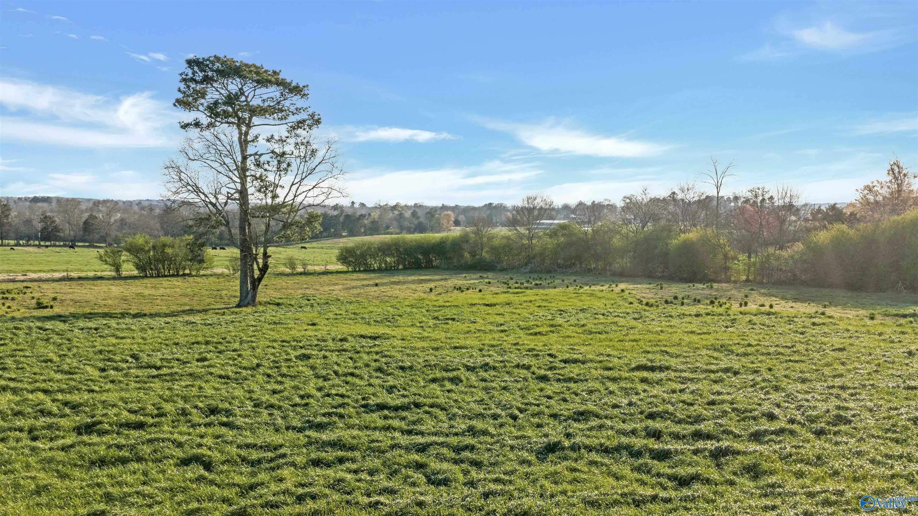 Lot 15 Garrett Street