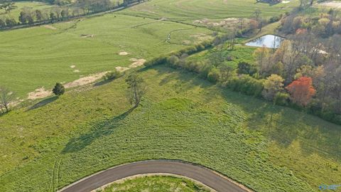 Lot 15 Garrett Street Rainsville AL 35986