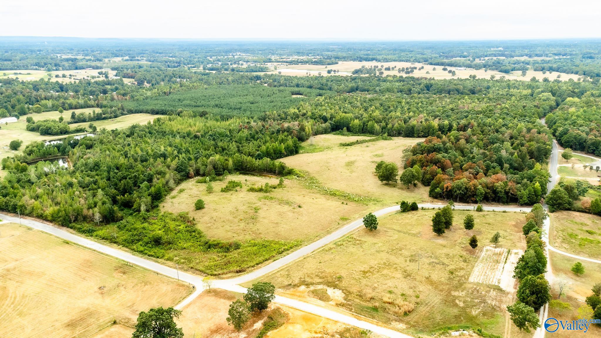 1591 County Road 296, Hillsboro, Alabama image 8