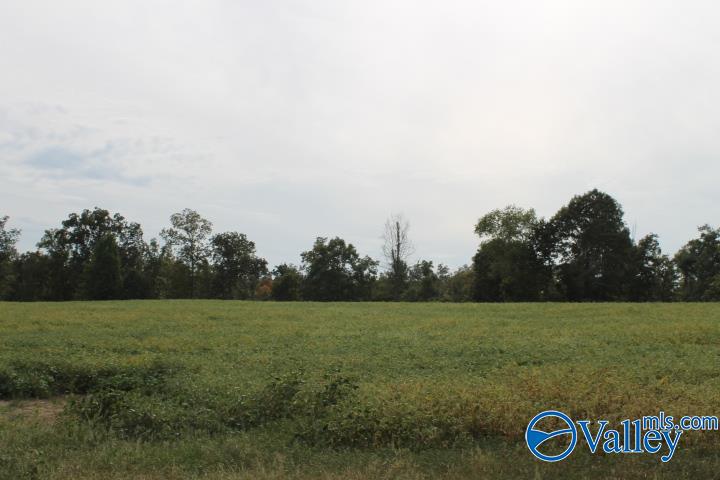 13.75 Acres Chavies Road, Rainsville, Alabama image 2