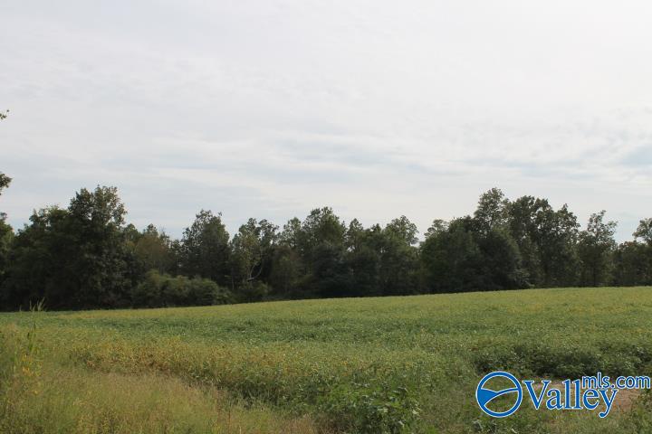 13.75 Acres Chavies Road, Rainsville, Alabama image 4