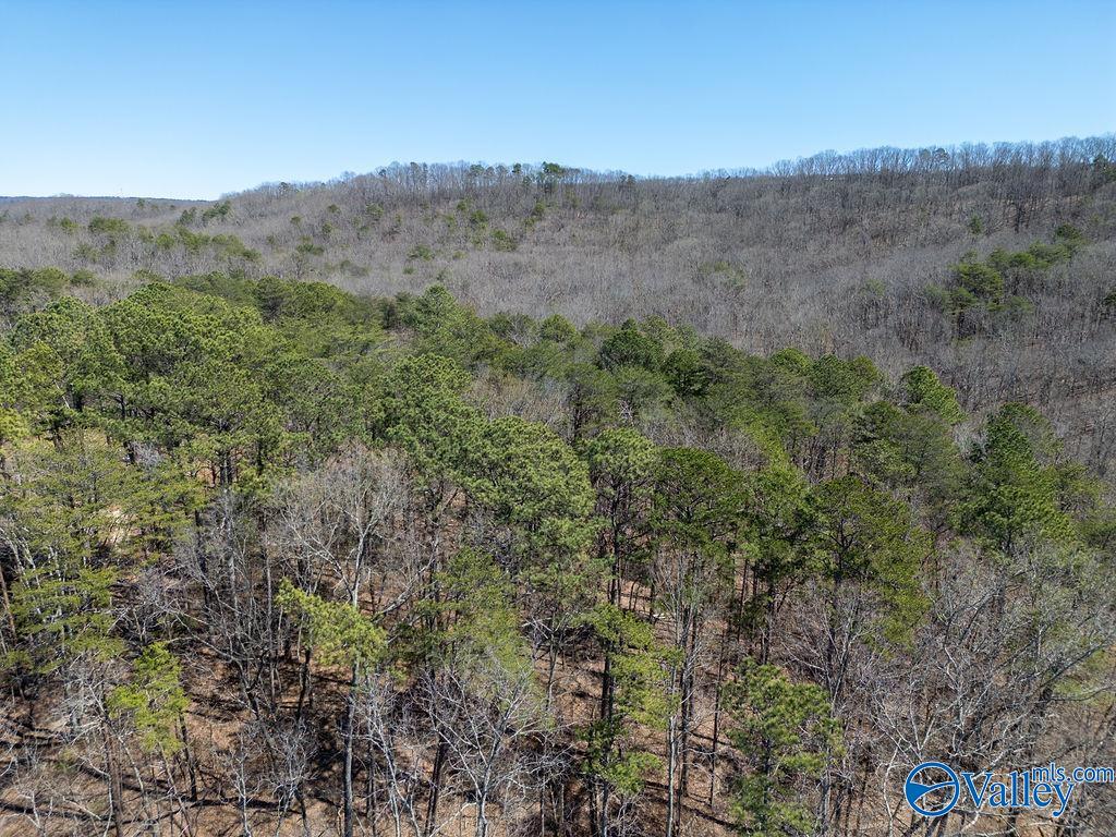 577 Rock Ridge Road, Valley Head, Alabama image 44