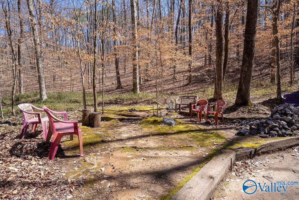 577 Rock Ridge Road, Valley Head, Alabama image 9