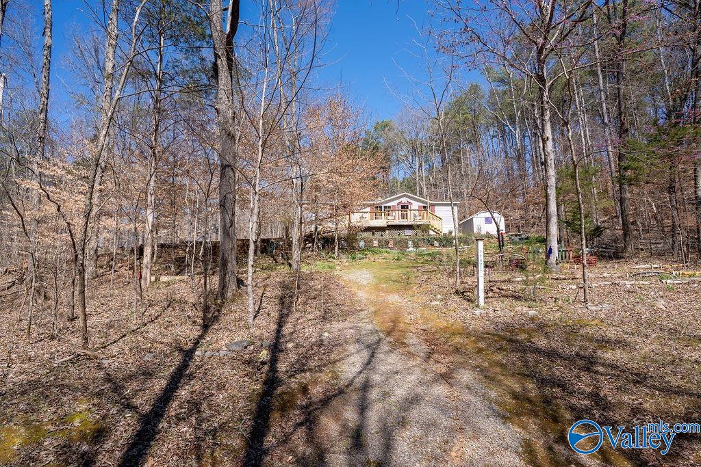 577 Rock Ridge Road, Valley Head, Alabama image 29