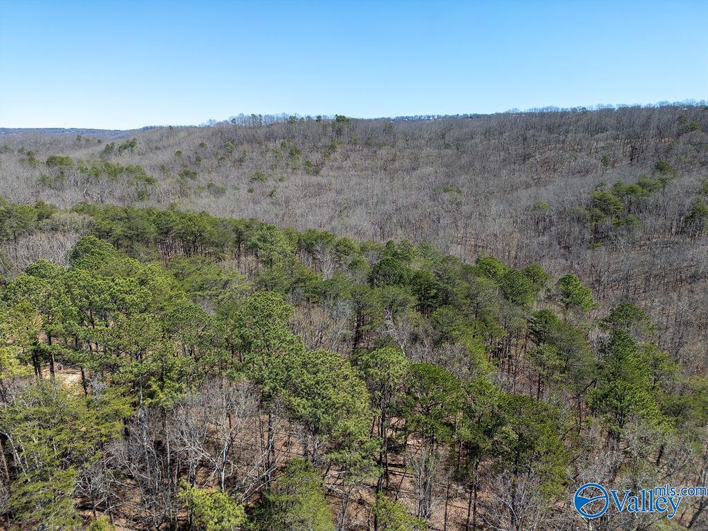 577 Rock Ridge Road, Valley Head, Alabama image 45