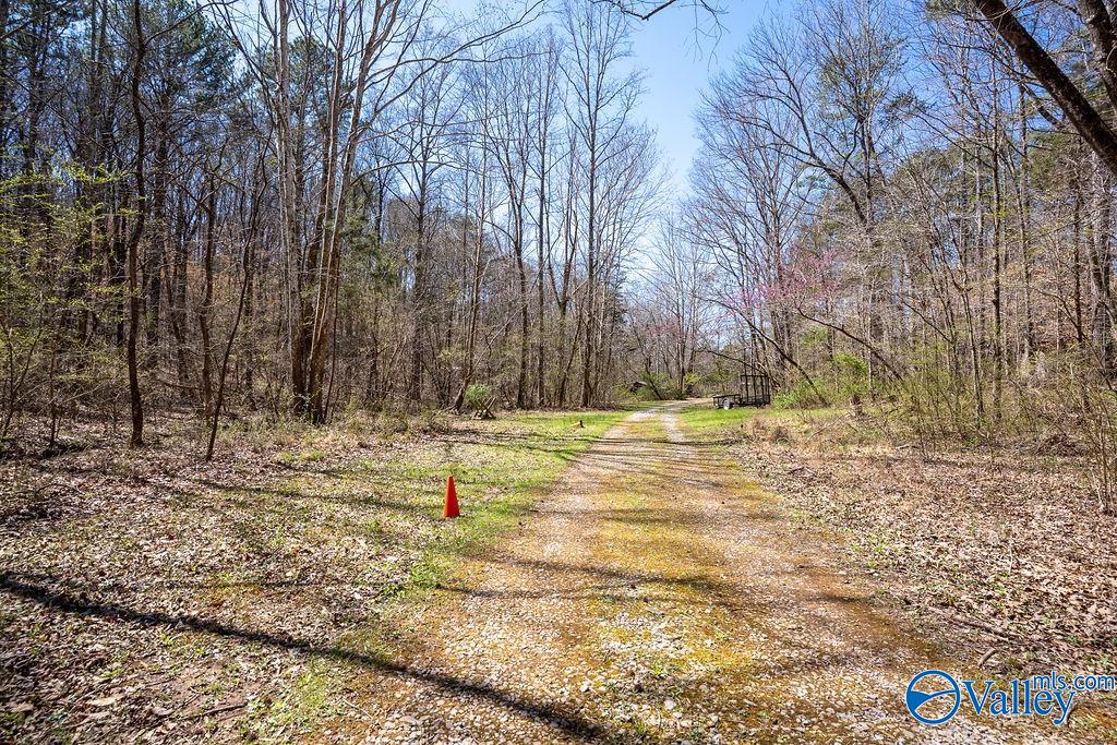 577 Rock Ridge Road, Valley Head, Alabama image 1
