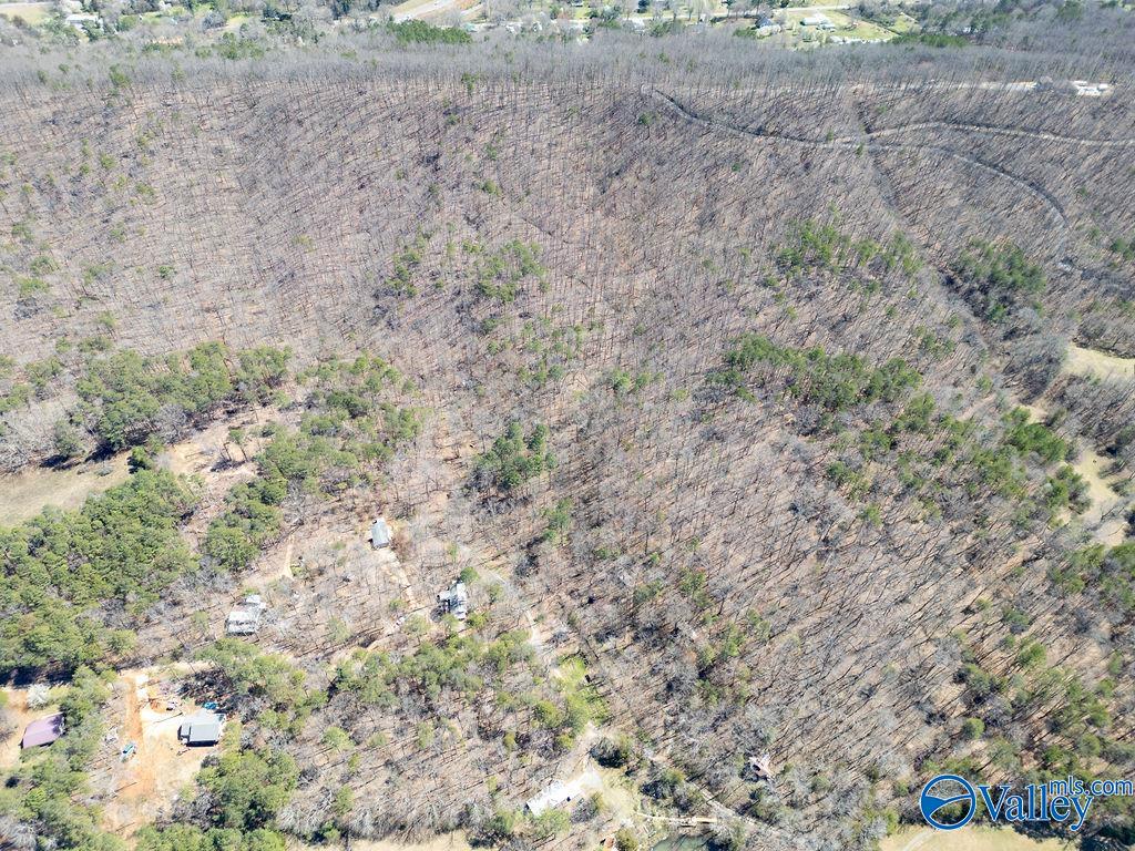 577 Rock Ridge Road, Valley Head, Alabama image 47