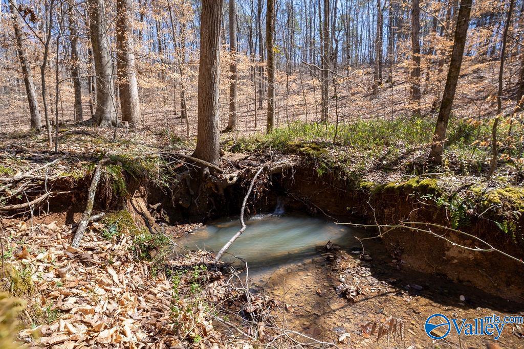 577 Rock Ridge Road, Valley Head, Alabama image 7