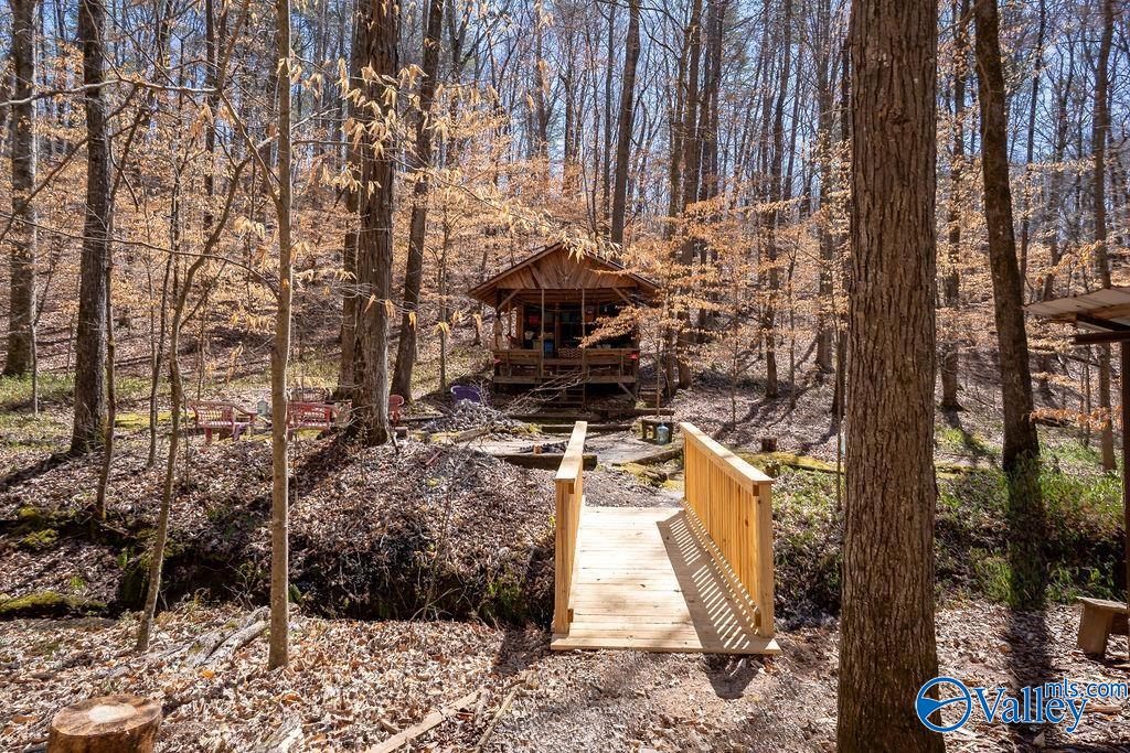 577 Rock Ridge Road, Valley Head, Alabama image 3