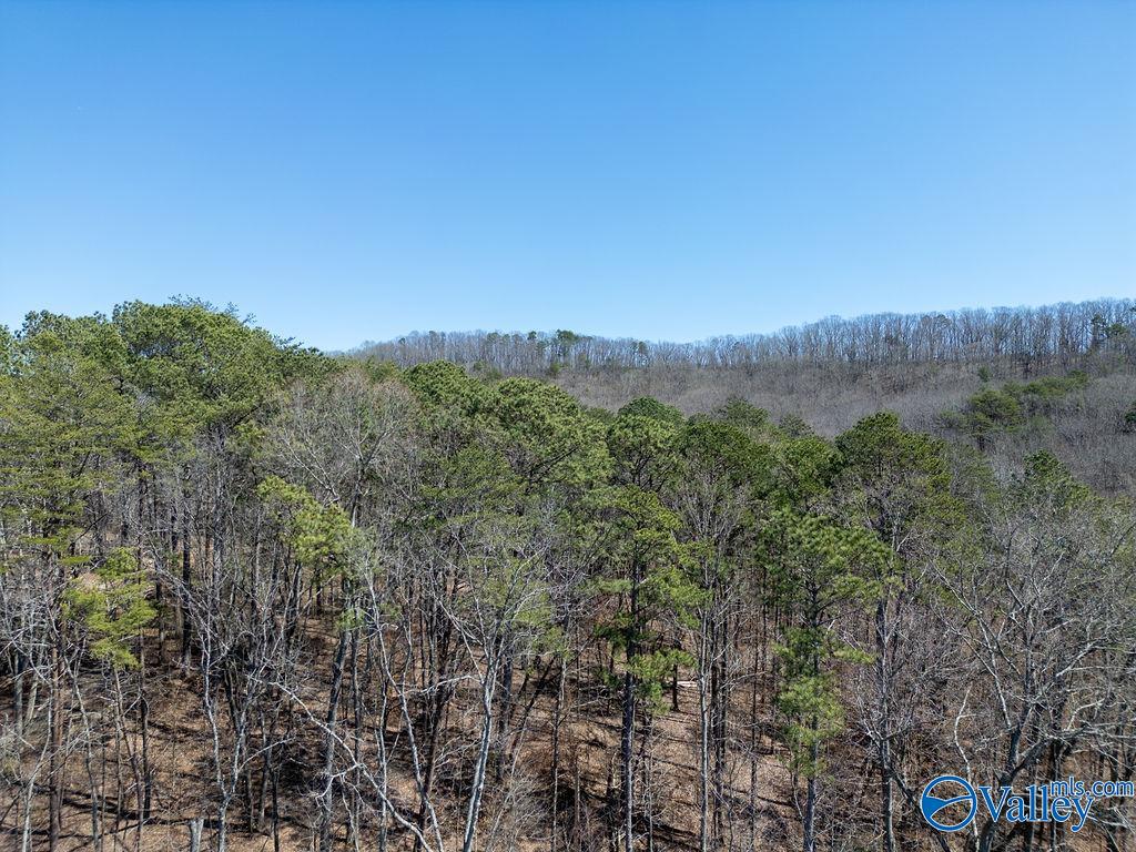 577 Rock Ridge Road, Valley Head, Alabama image 43