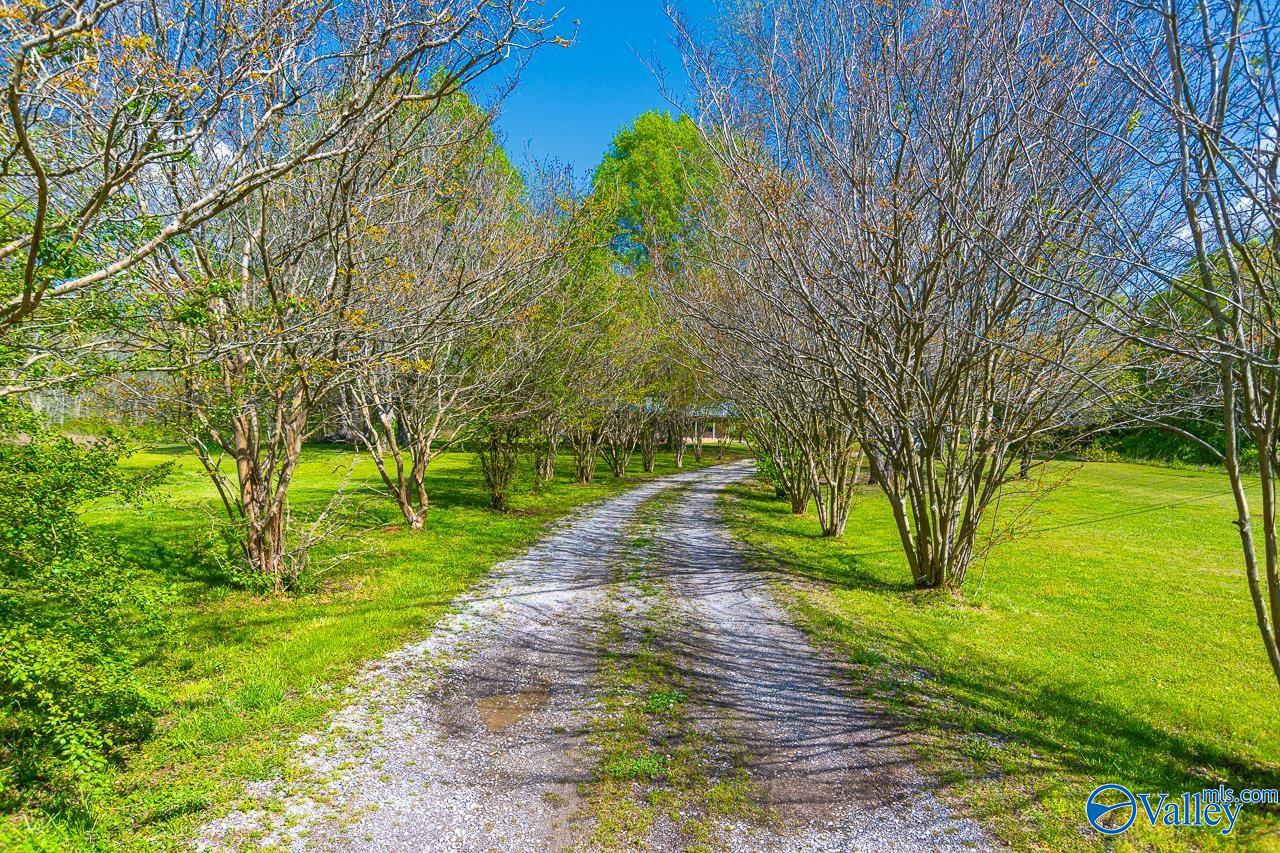4958 Highway 36 East, Somerville, Alabama image 3