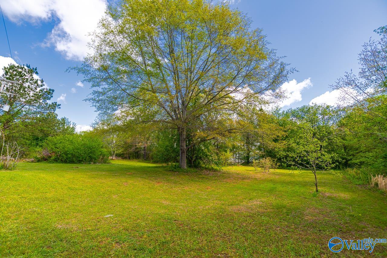4958 Highway 36 East, Somerville, Alabama image 8