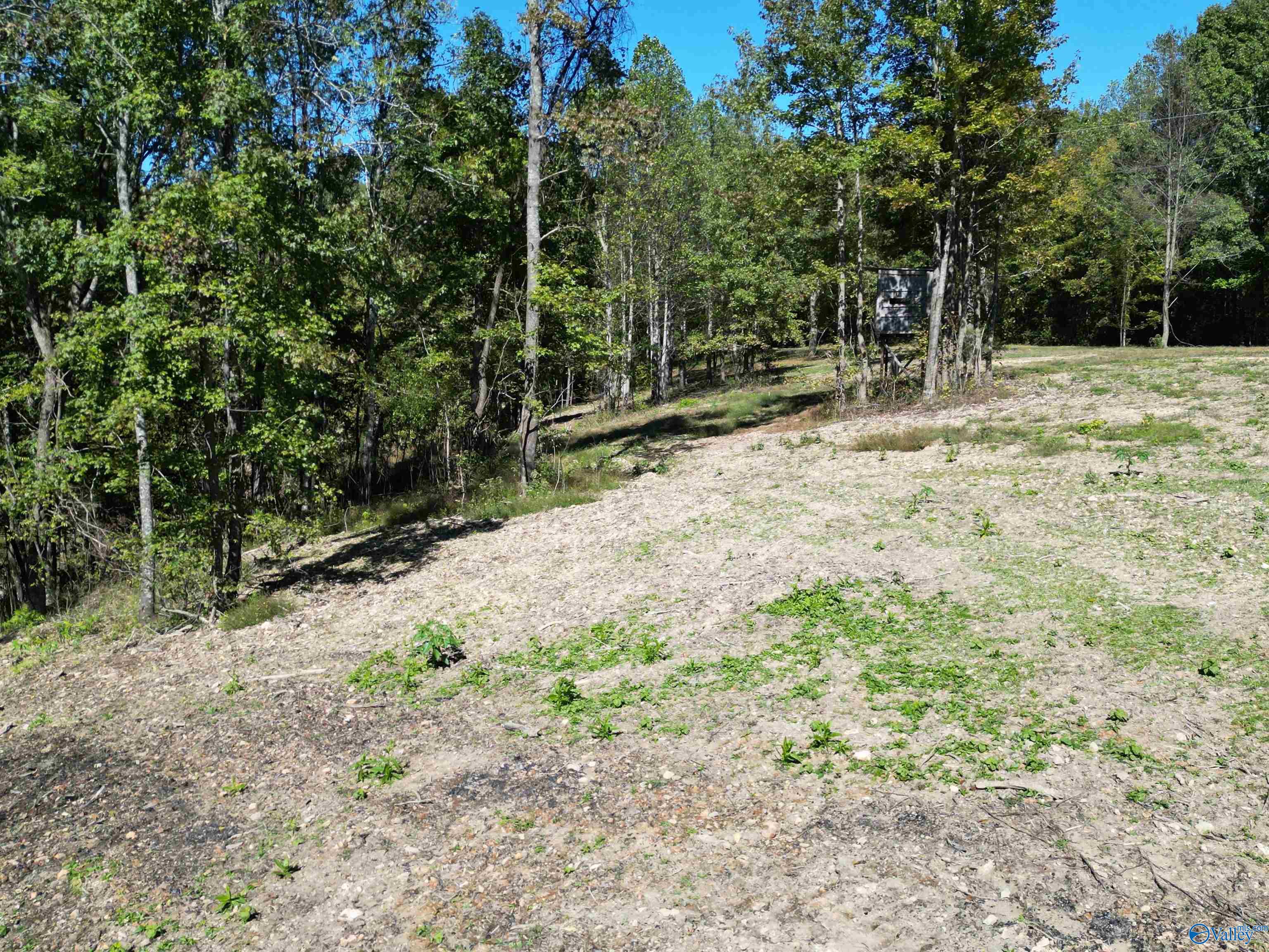 Tract3 Gunter Hollow Road