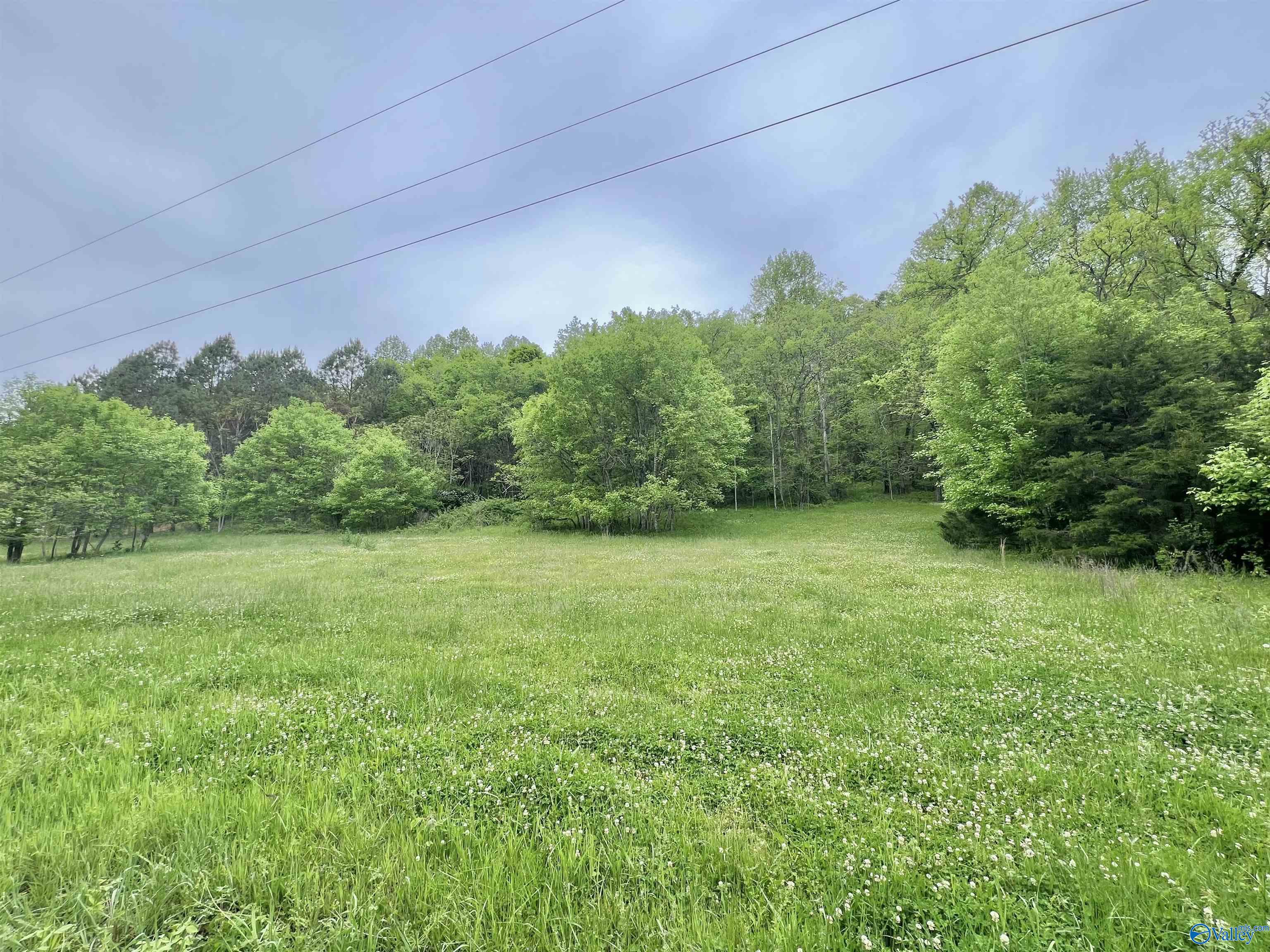 5.36 Thompson Hollow Road, Taft, Tennessee image 1