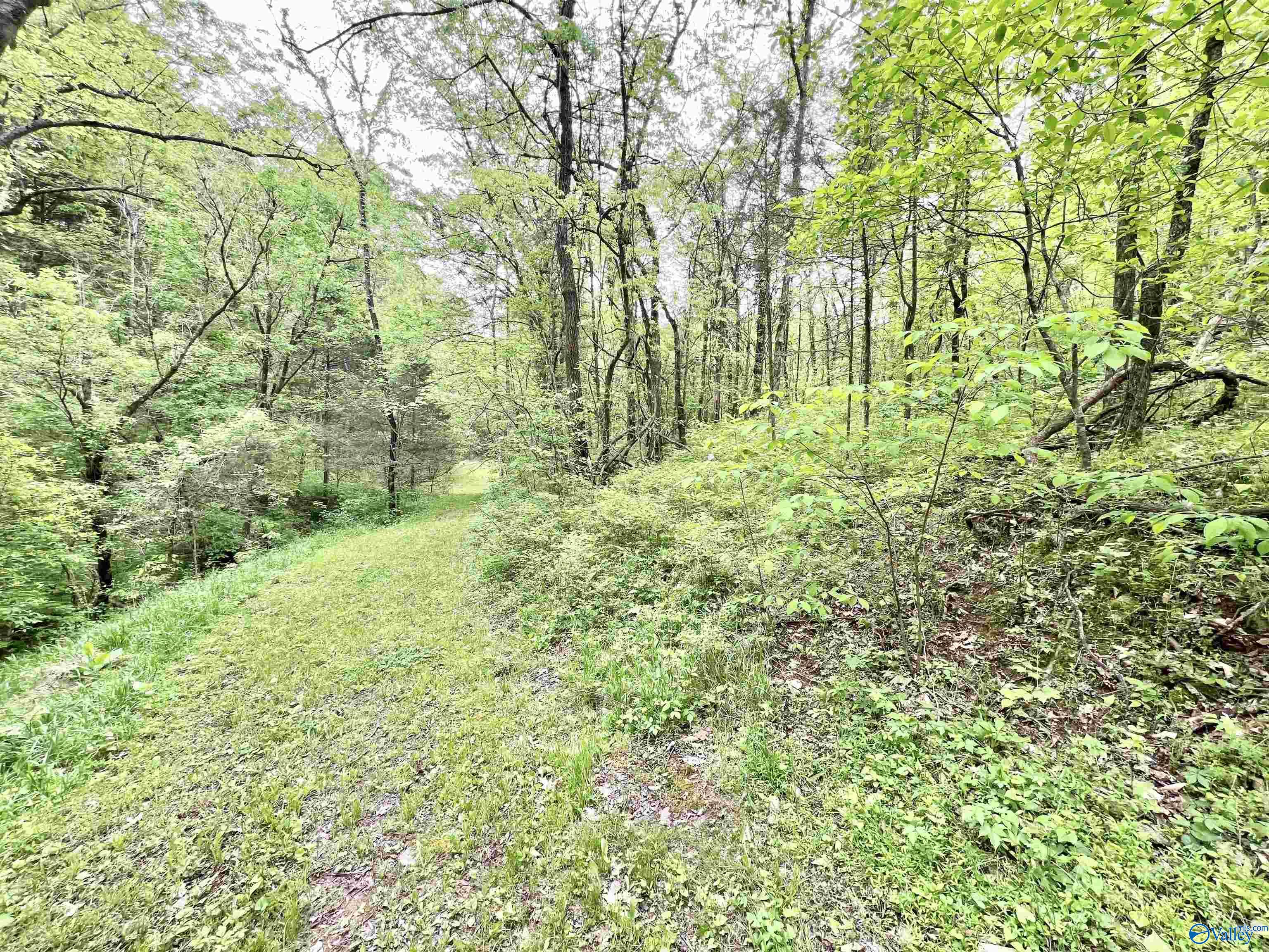 5.36 Thompson Hollow Road, Taft, Tennessee image 13