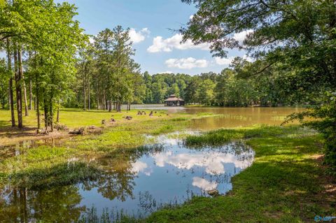 Vacant Land For Sale - 89 Golden Pond Road<br/> Ashville, AL 35953