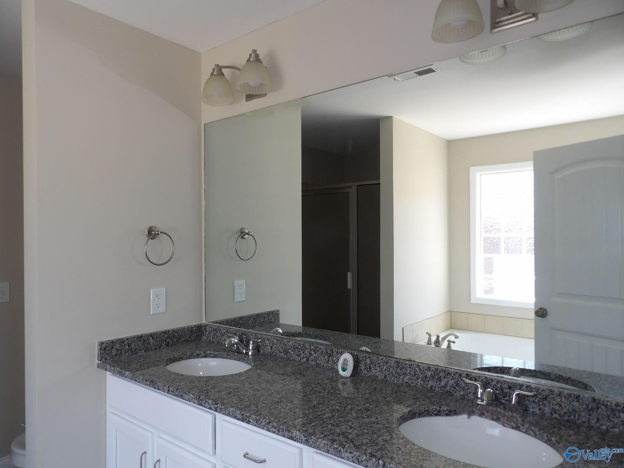 317 Smokey Hills Court, New Market, Alabama image 13
