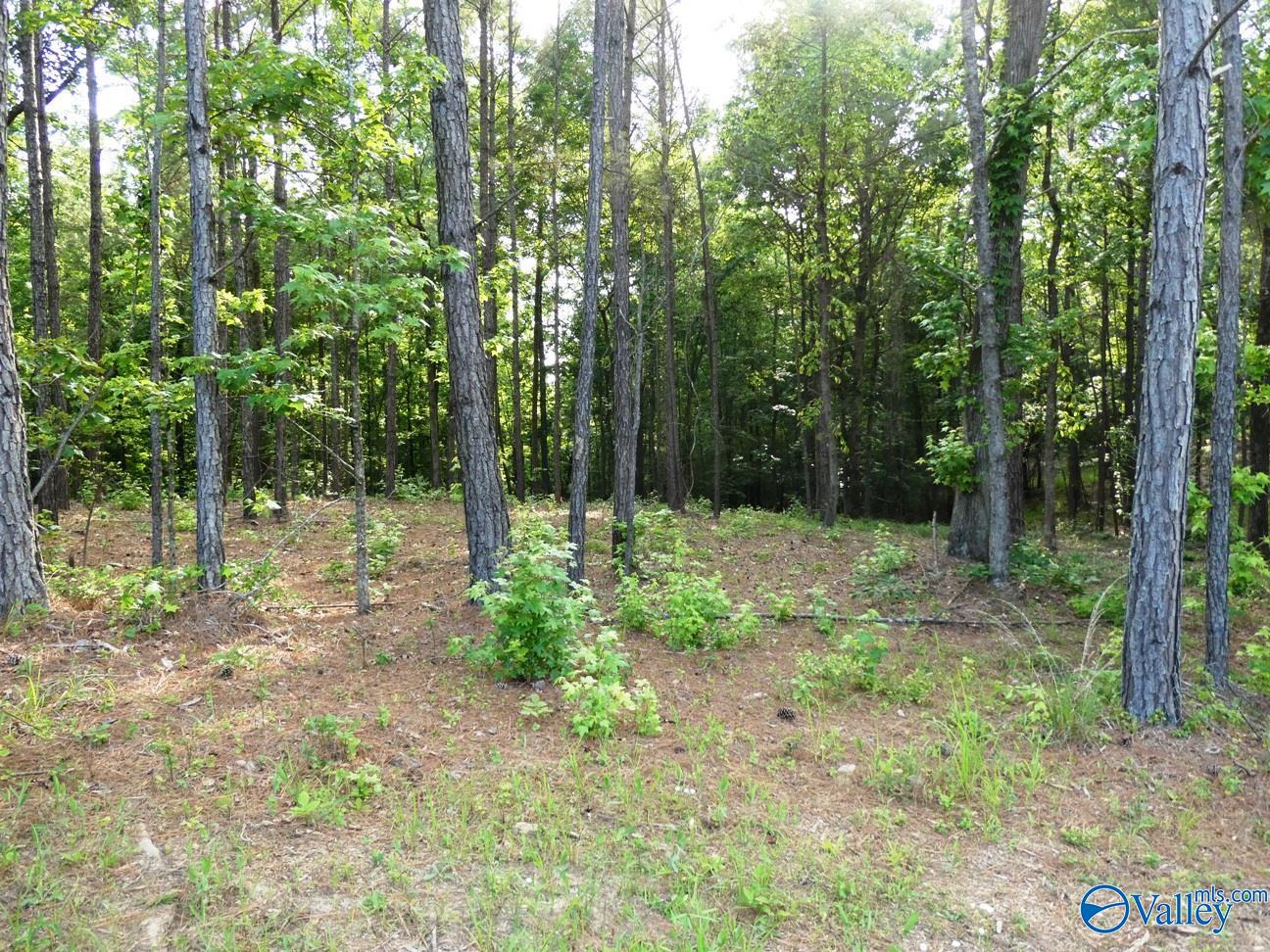 Lot 74 Harbor Lights Trail