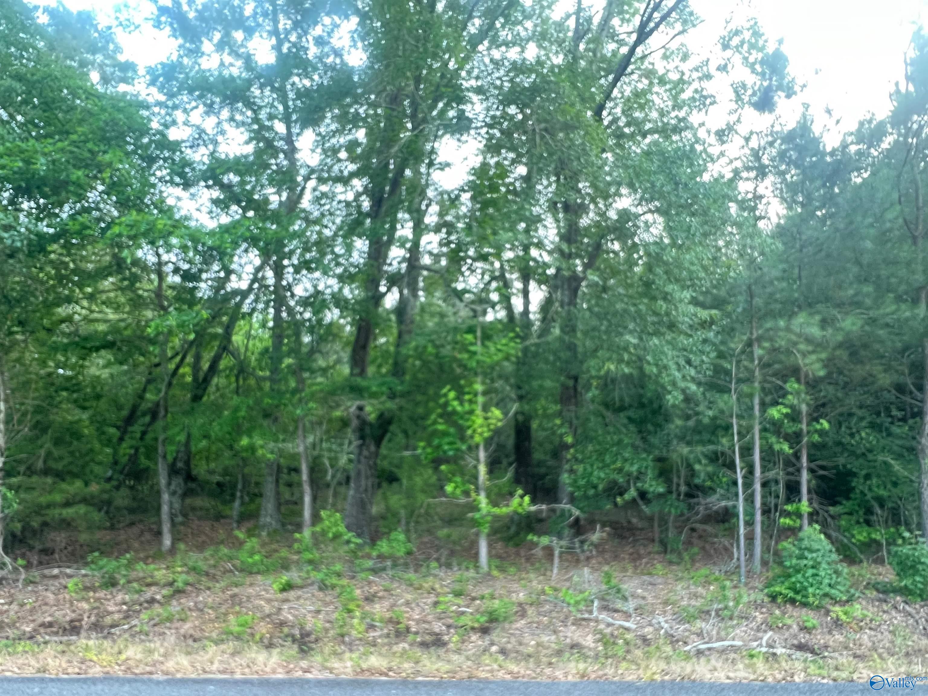 6.14 Charada Lake Road, Rainbow City, Alabama image 7