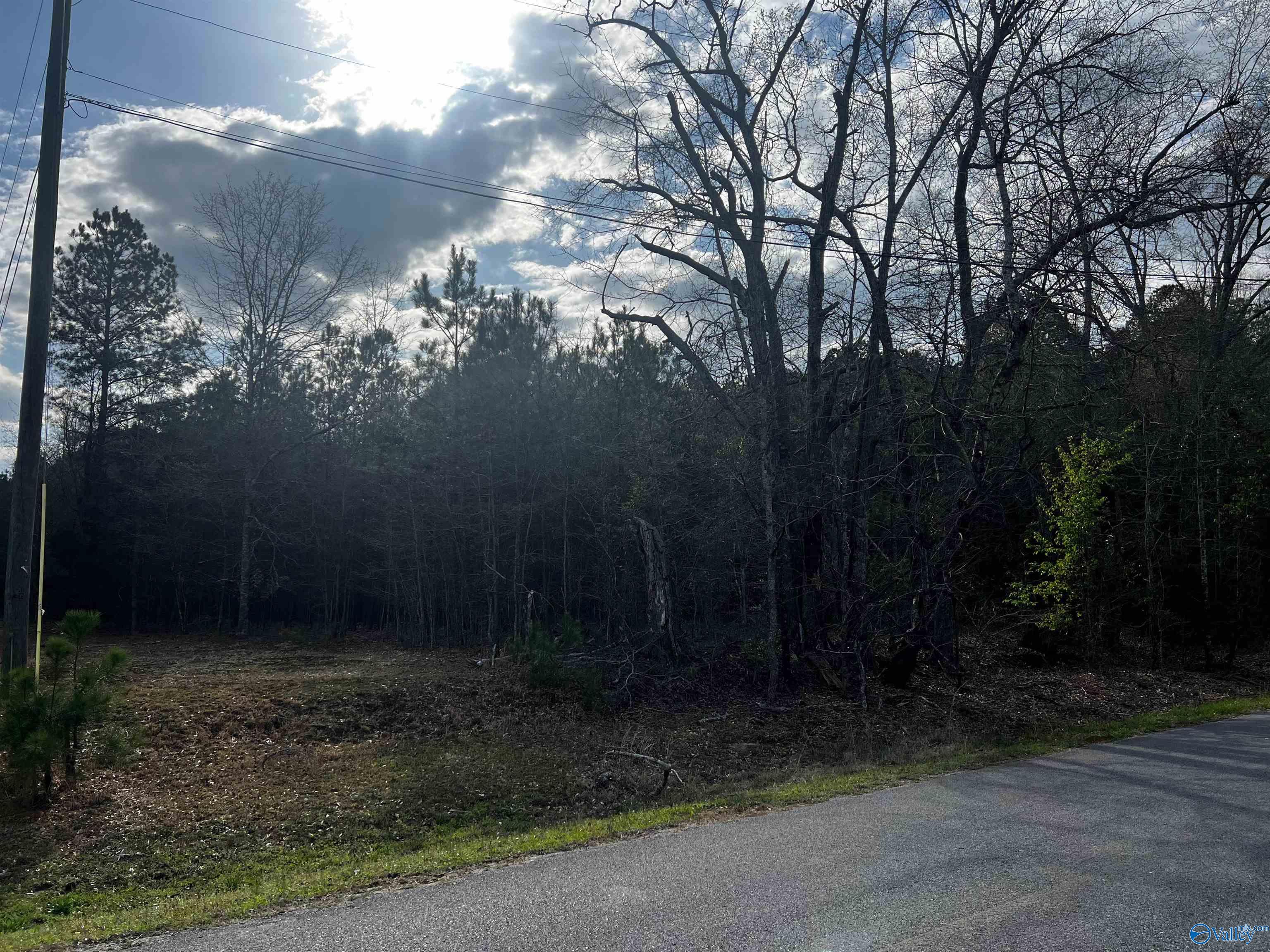 6.14 Charada Lake Road, Rainbow City, Alabama image 1