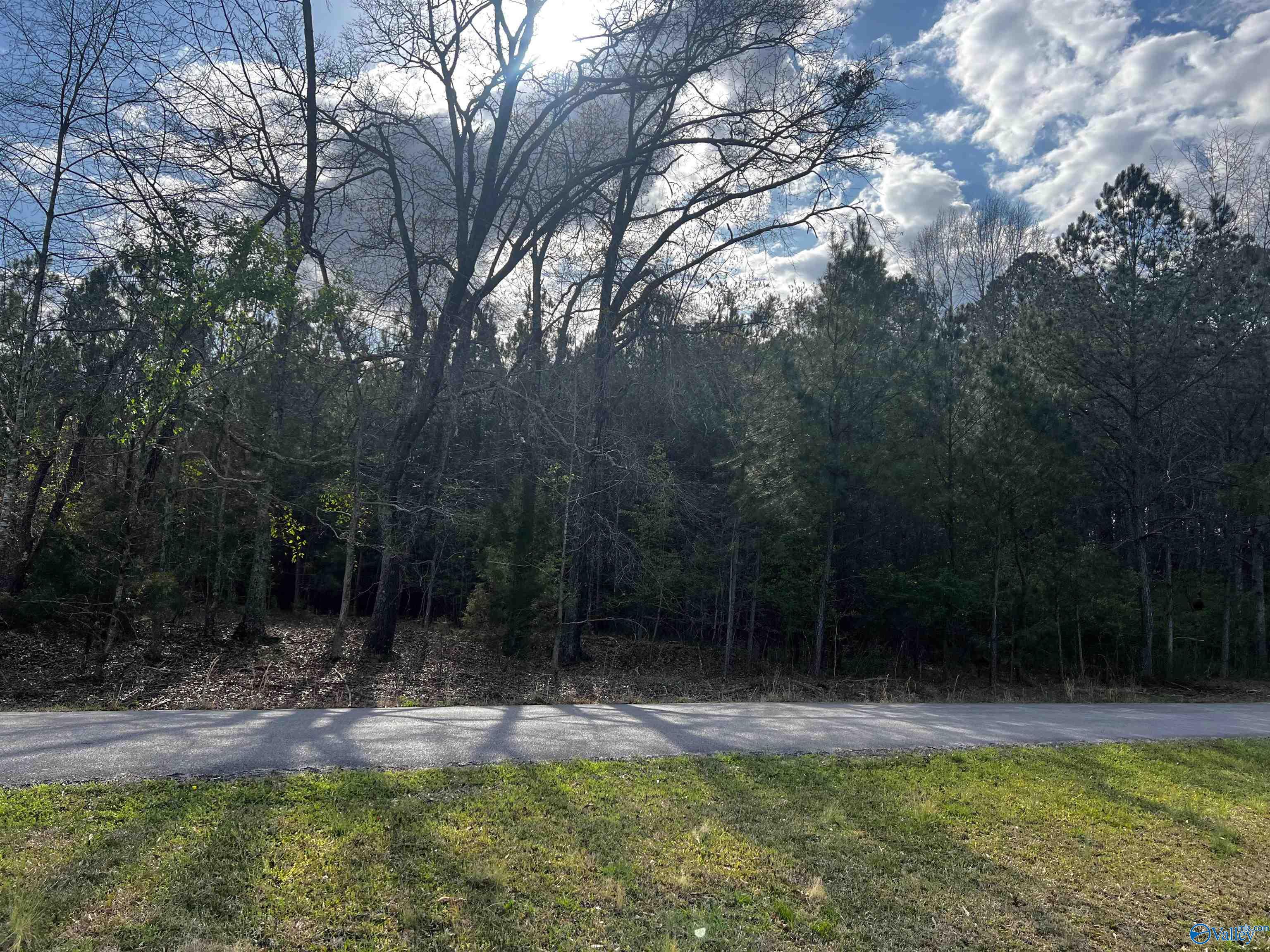 6.14 Charada Lake Road, Rainbow City, Alabama image 5