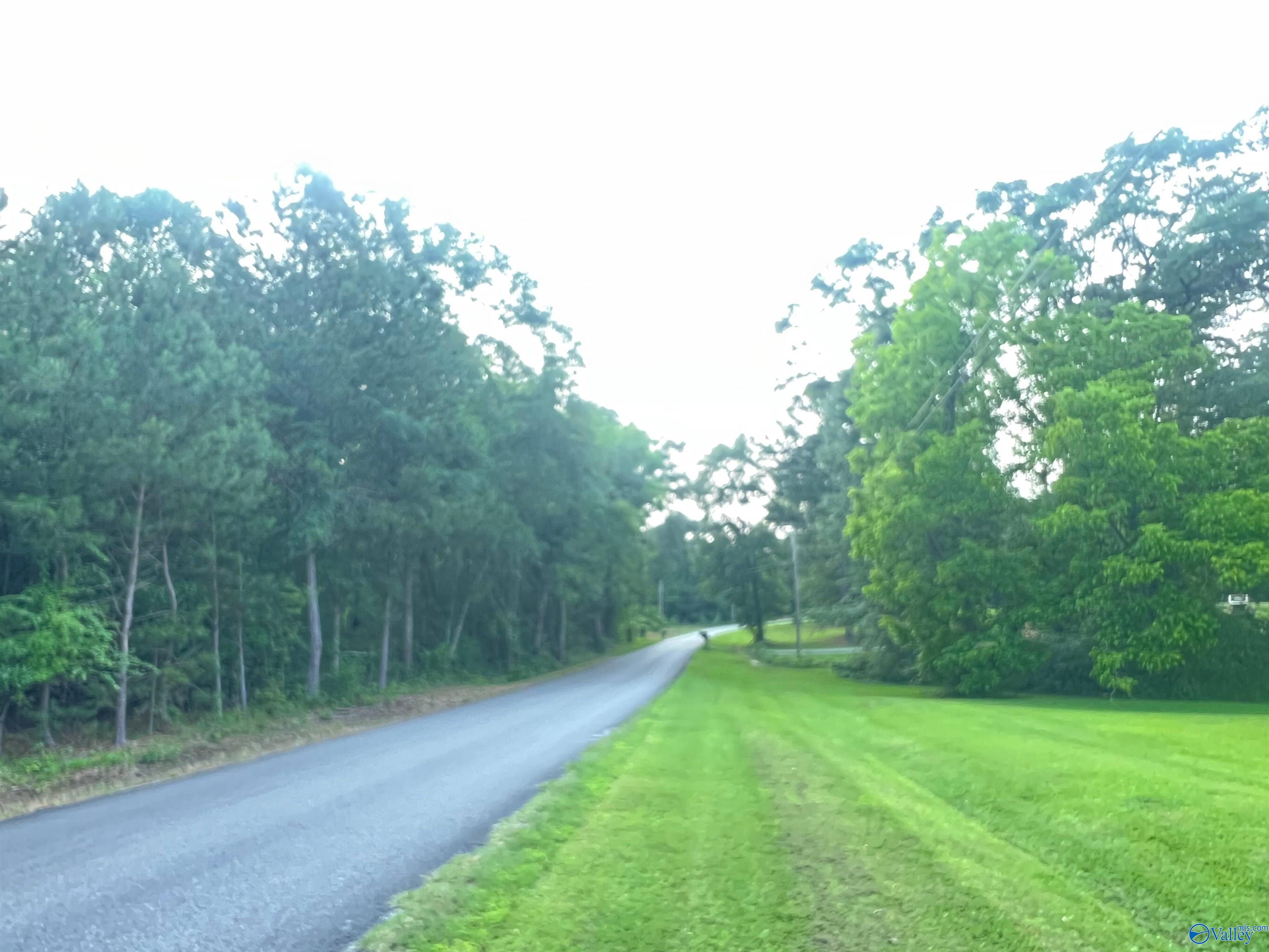 6.14 Charada Lake Road, Rainbow City, Alabama image 6