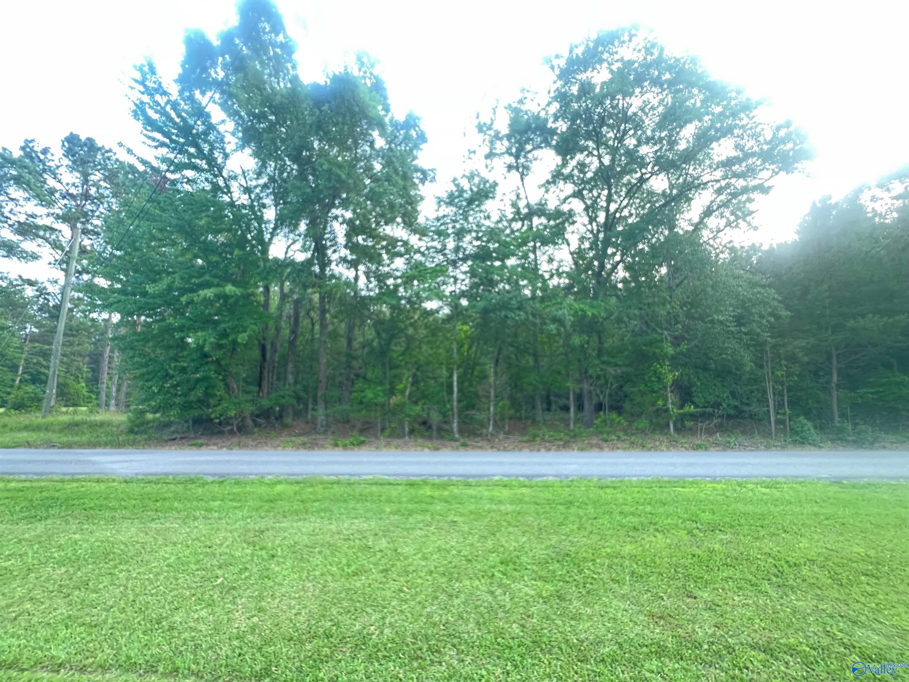6.14 Charada Lake Road, Rainbow City, Alabama image 1