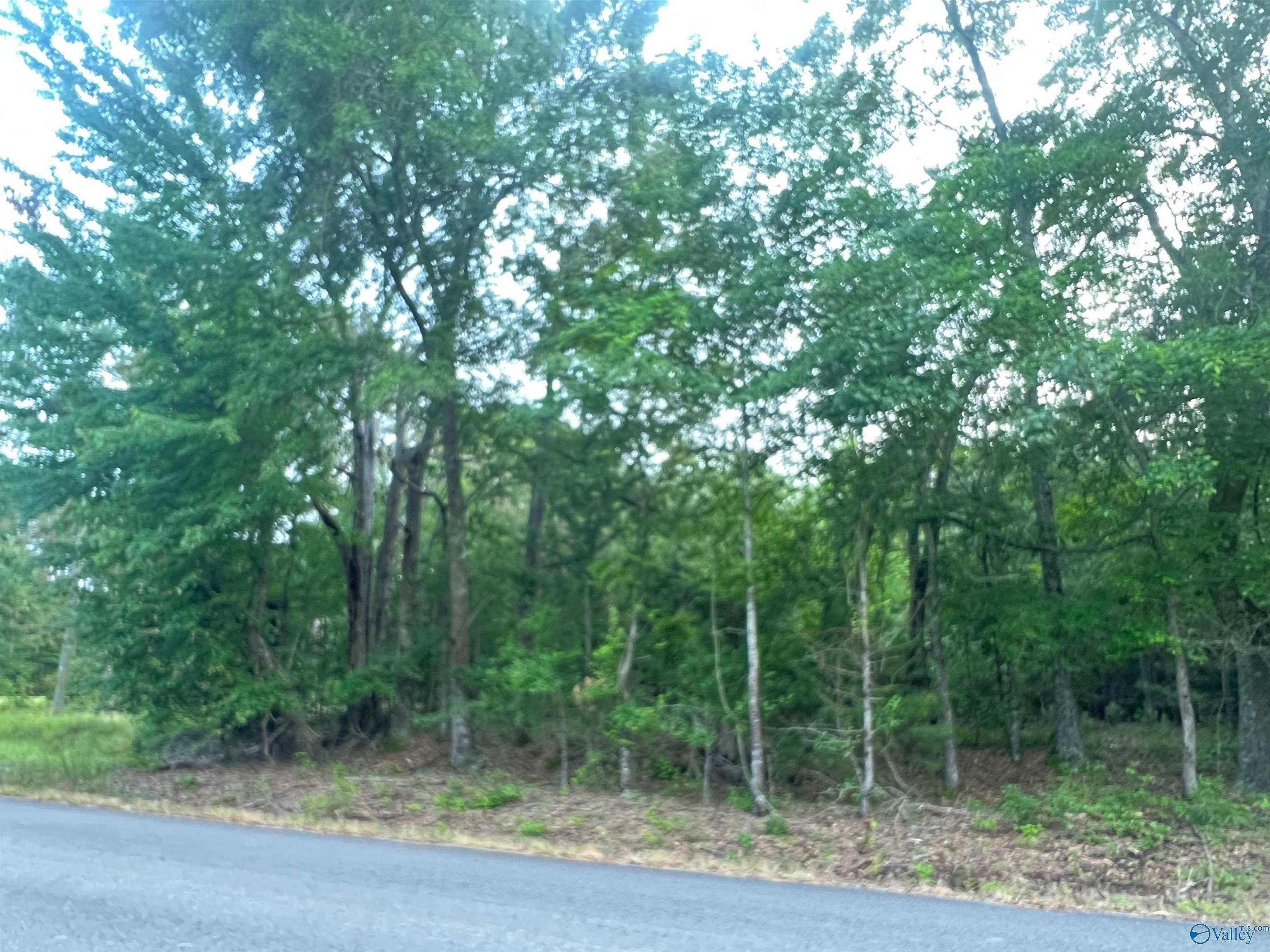 6.14 Charada Lake Road, Rainbow City, Alabama image 8
