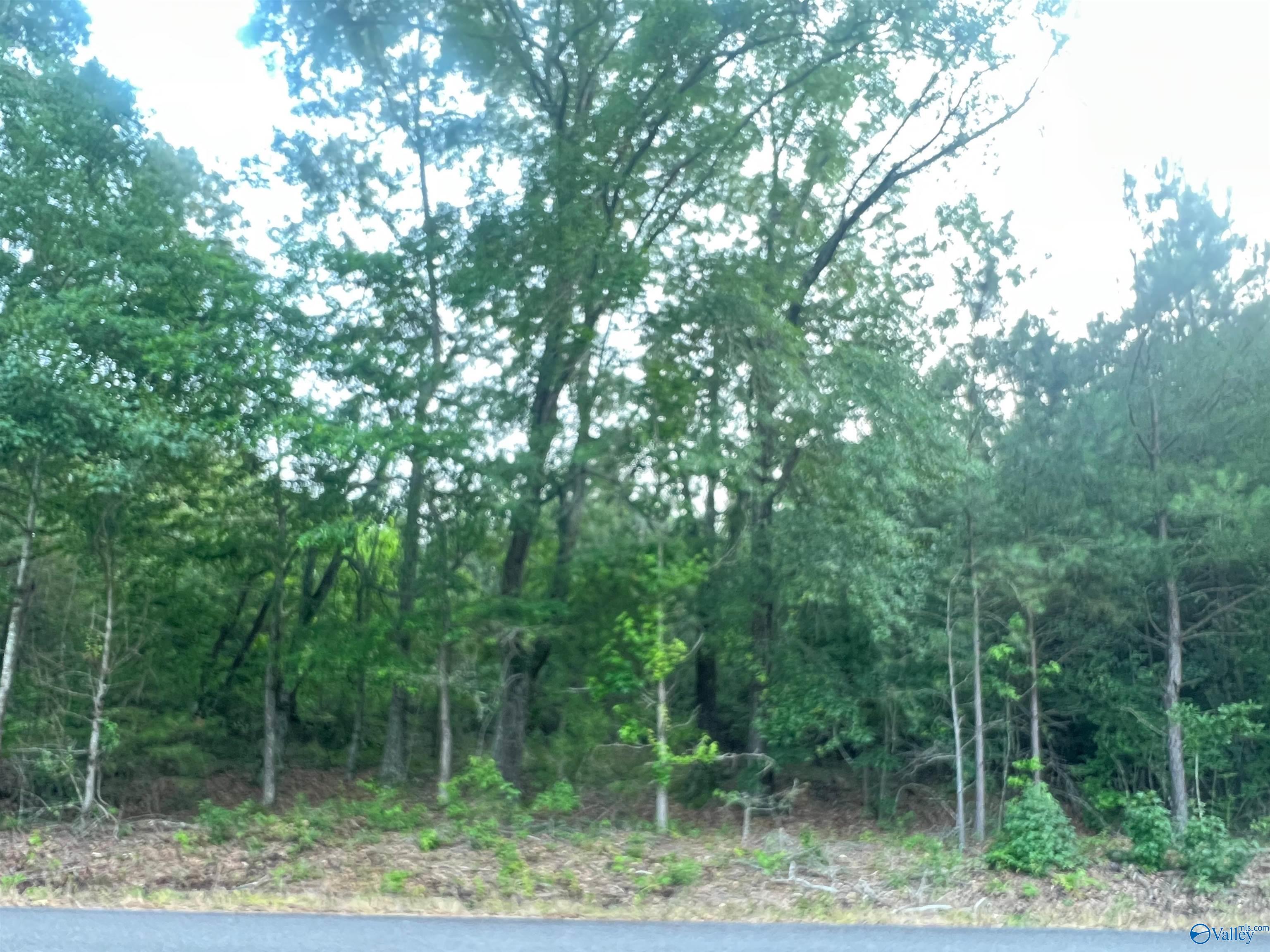 6.14 Charada Lake Road, Rainbow City, Alabama image 5
