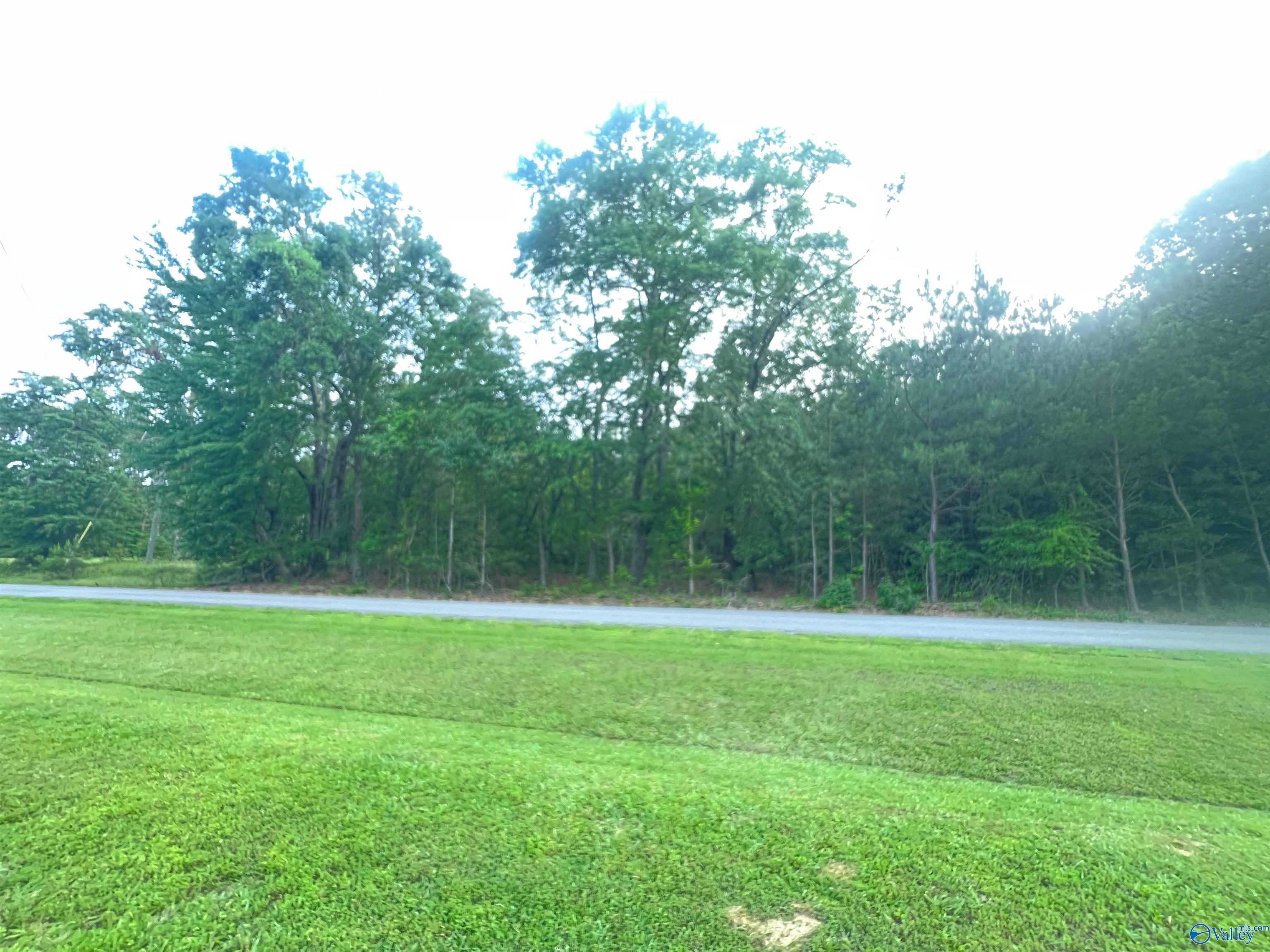 6.14 Charada Lake Road, Rainbow City, Alabama image 3