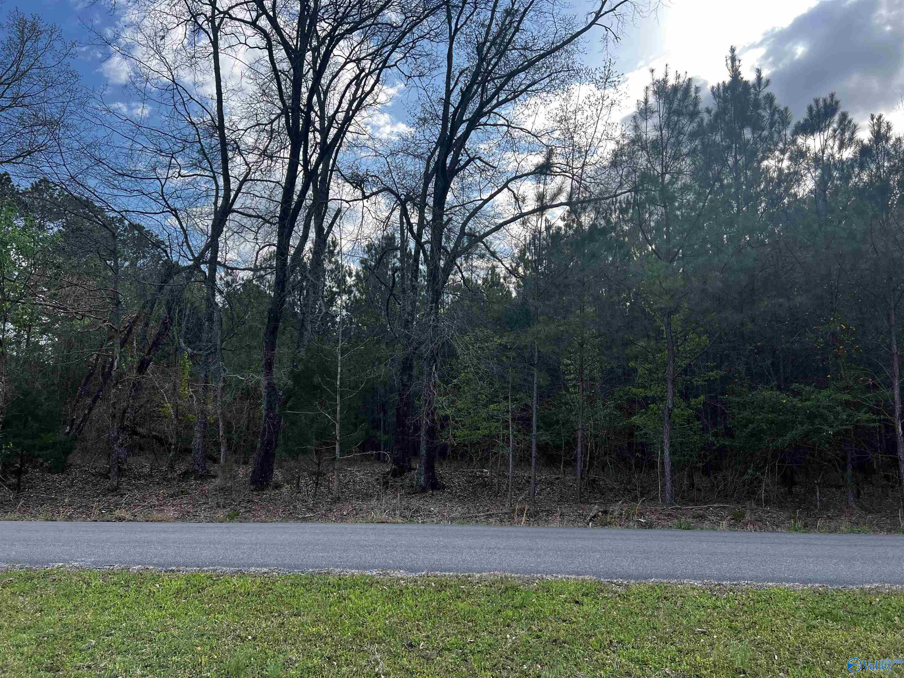 6.14 Charada Lake Road, Rainbow City, Alabama image 6