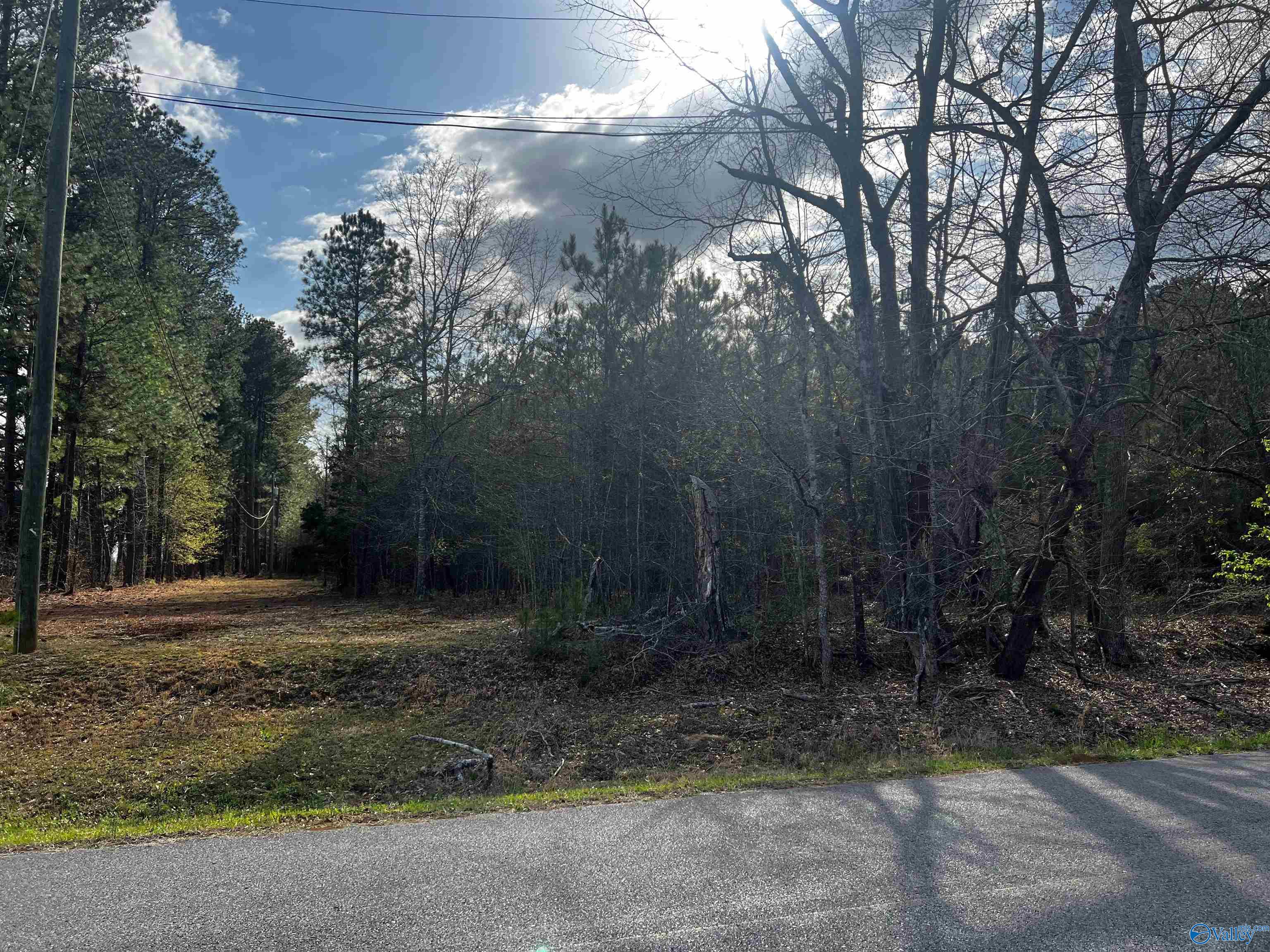 6.14 Charada Lake Road, Rainbow City, Alabama image 3