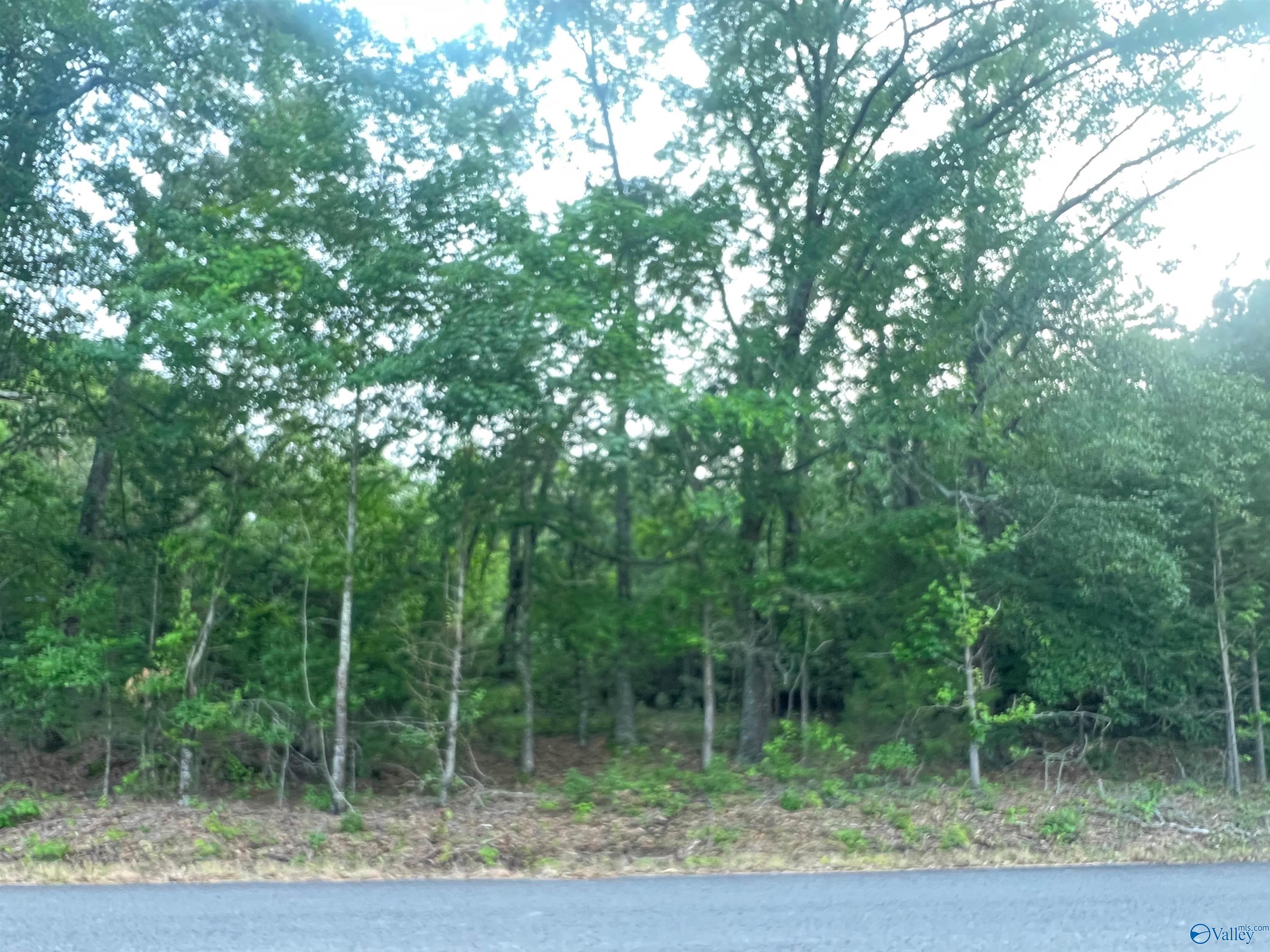 6.14 Charada Lake Road, Rainbow City, Alabama image 10