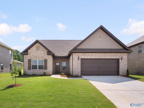 Homes For Sale - 171 Flintridge Drive<br/> Harvest, AL 35749