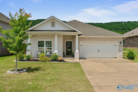 Homes For Sale - 9128 Monteagle Boulevard<br/> Madison County, Owens Cross Roads, AL 35763