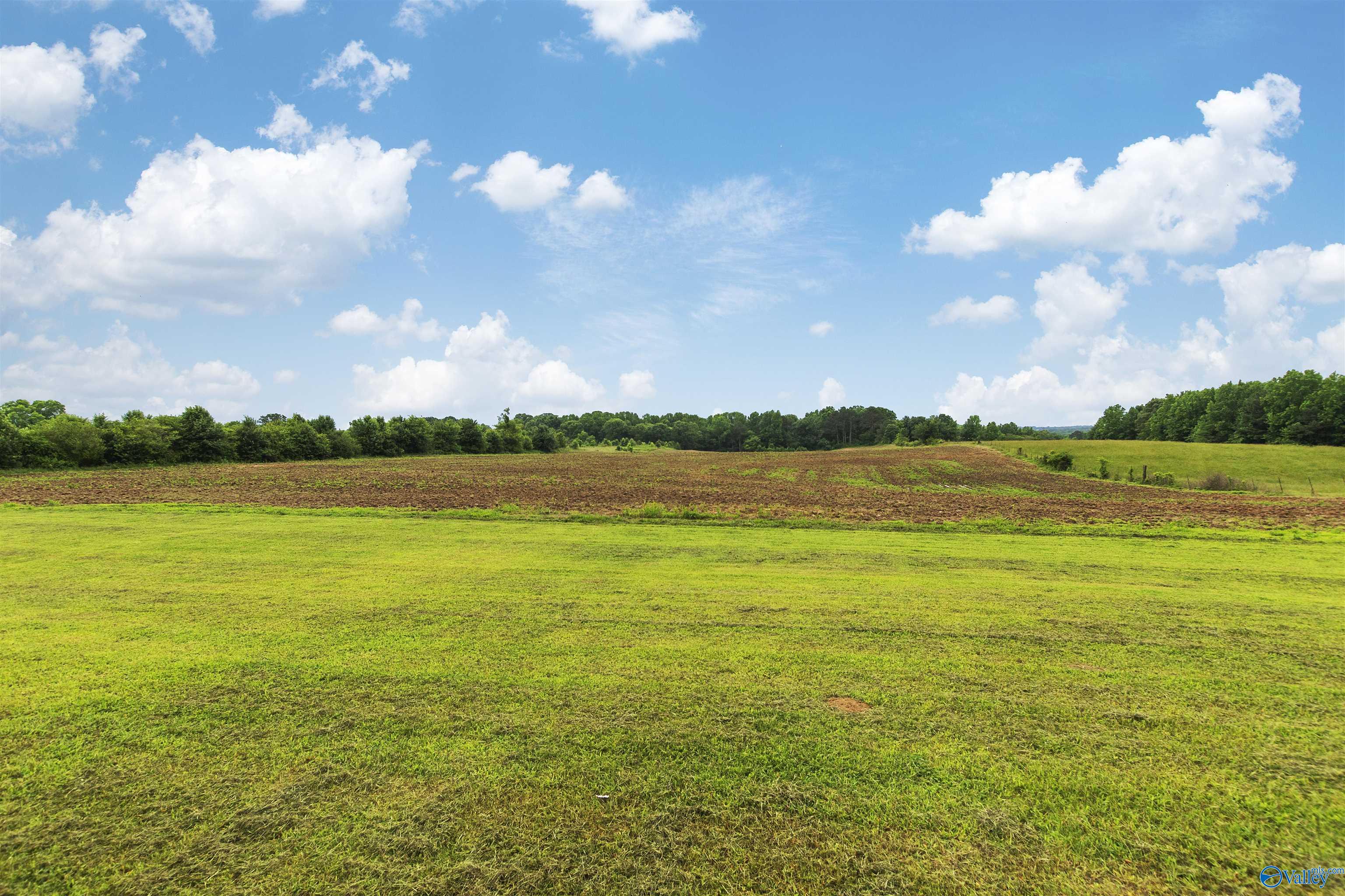 1920 County Road 1807, Arab, Alabama image 40