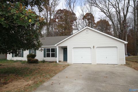 Homes For Sale - 339 Buffalo Creek Drive<br/> Toney, AL 35773