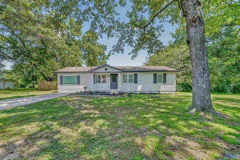 Homes For Sale - 265 Flint River Drive<br/> New Market, AL 35761