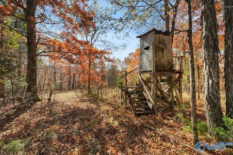 Vacant Land For Sale - 80 ACRES Upper Hurricane Road<br/> New Market, AL 35761