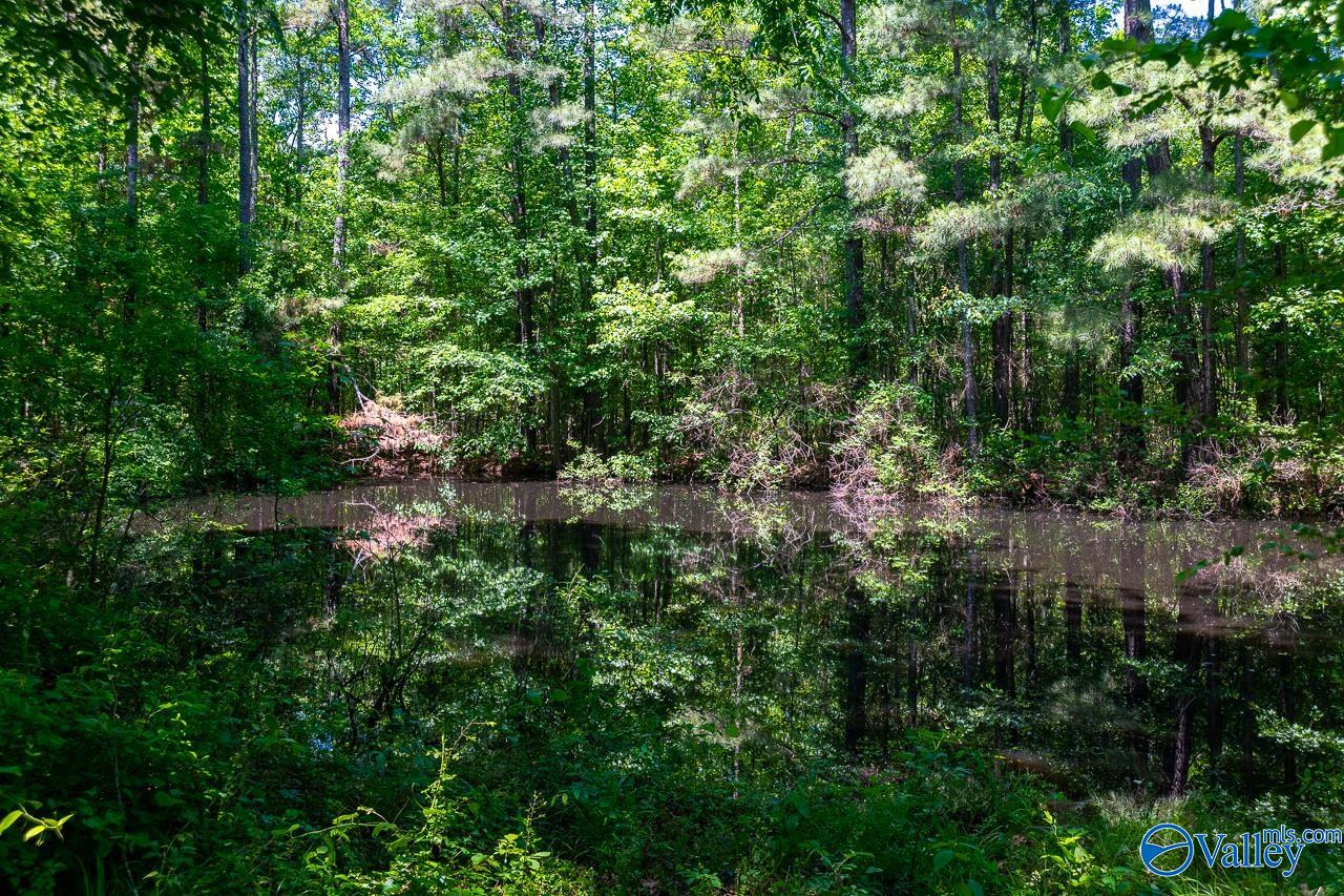 3623 Barkley Bridge Road, Hartselle, Alabama image 42