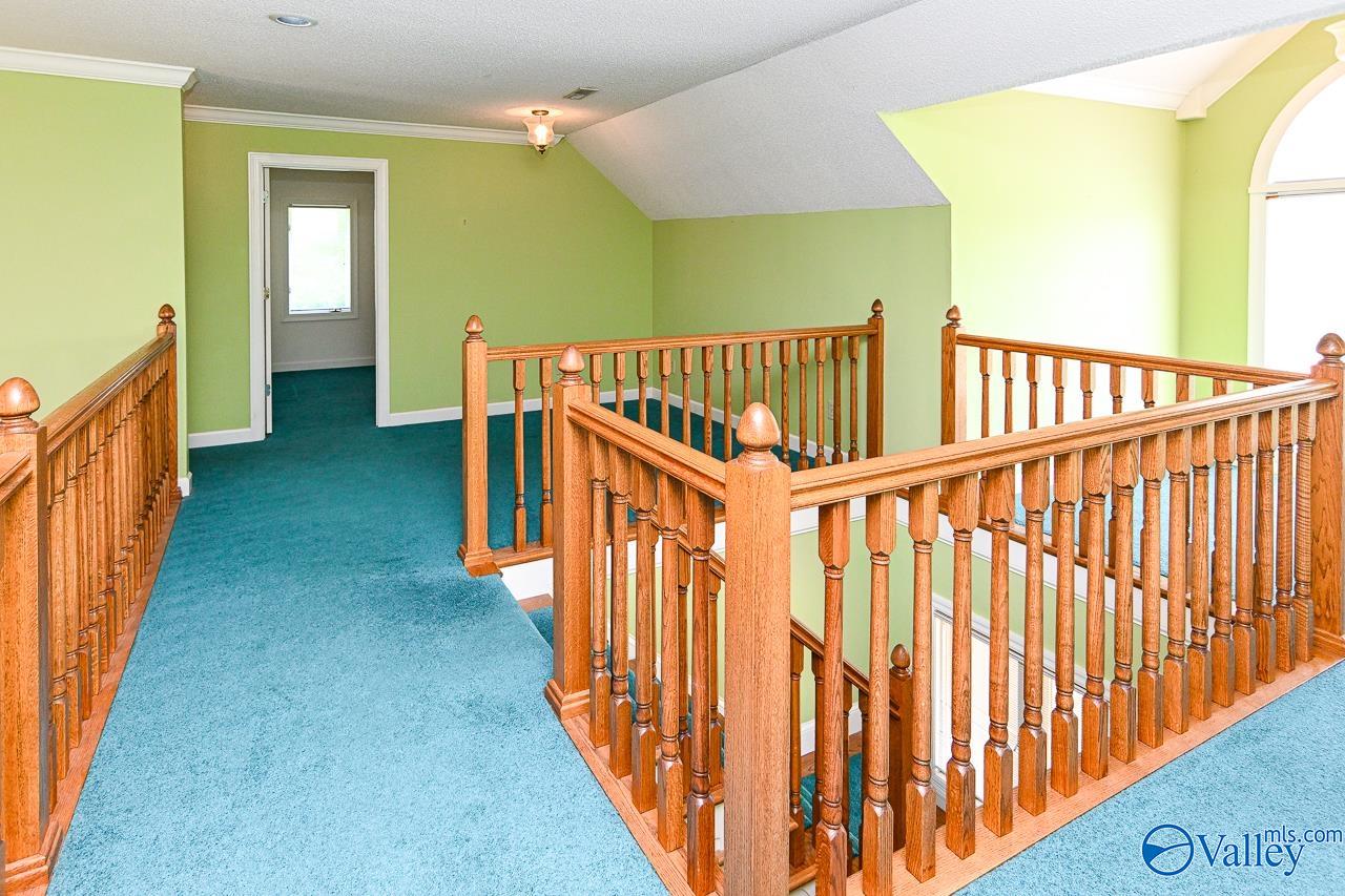 3623 Barkley Bridge Road, Hartselle, Alabama image 17