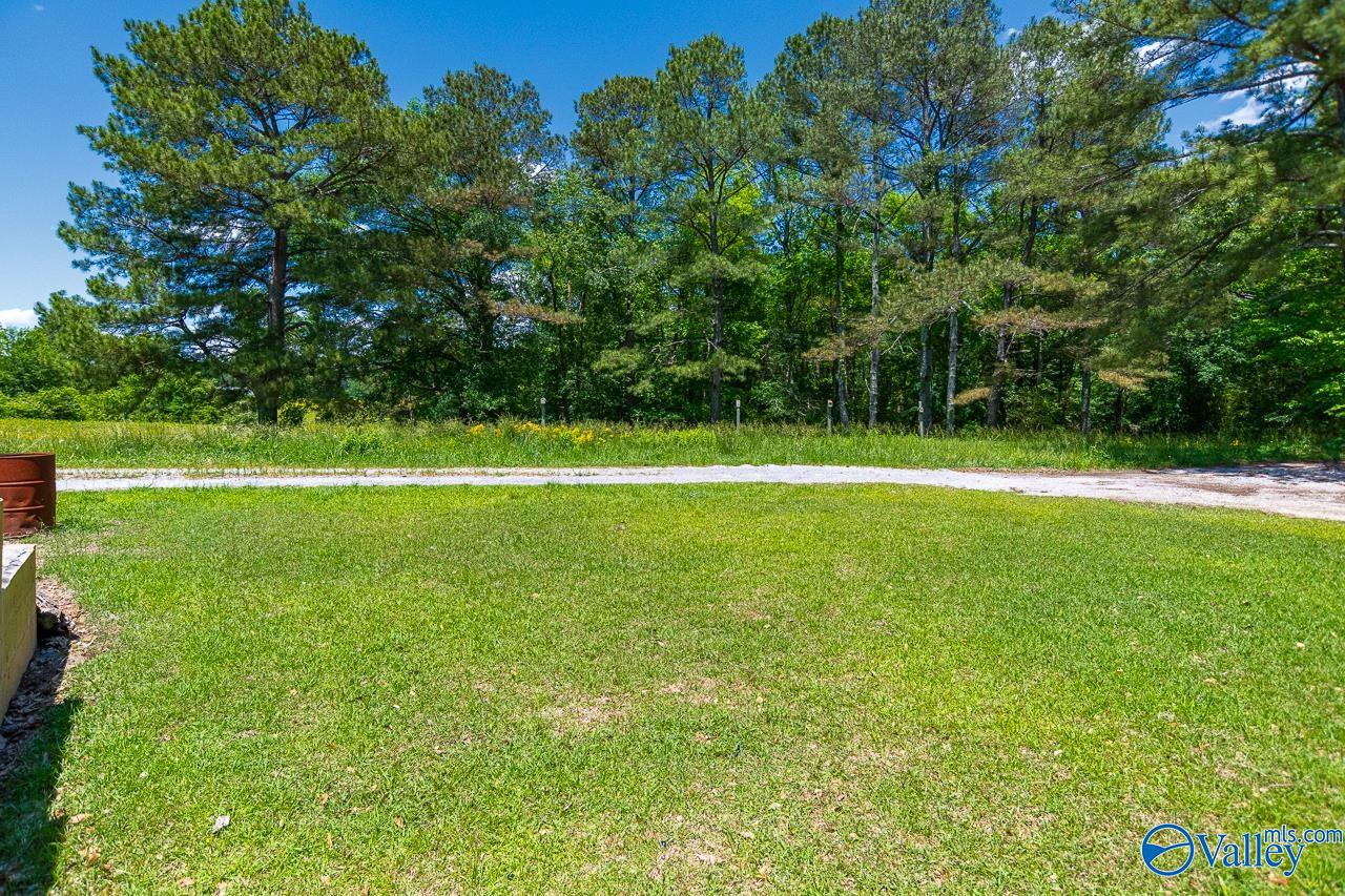 3623 Barkley Bridge Road, Hartselle, Alabama image 38