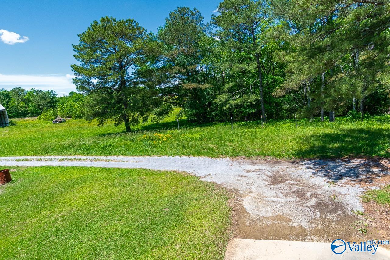 3623 Barkley Bridge Road, Hartselle, Alabama image 33