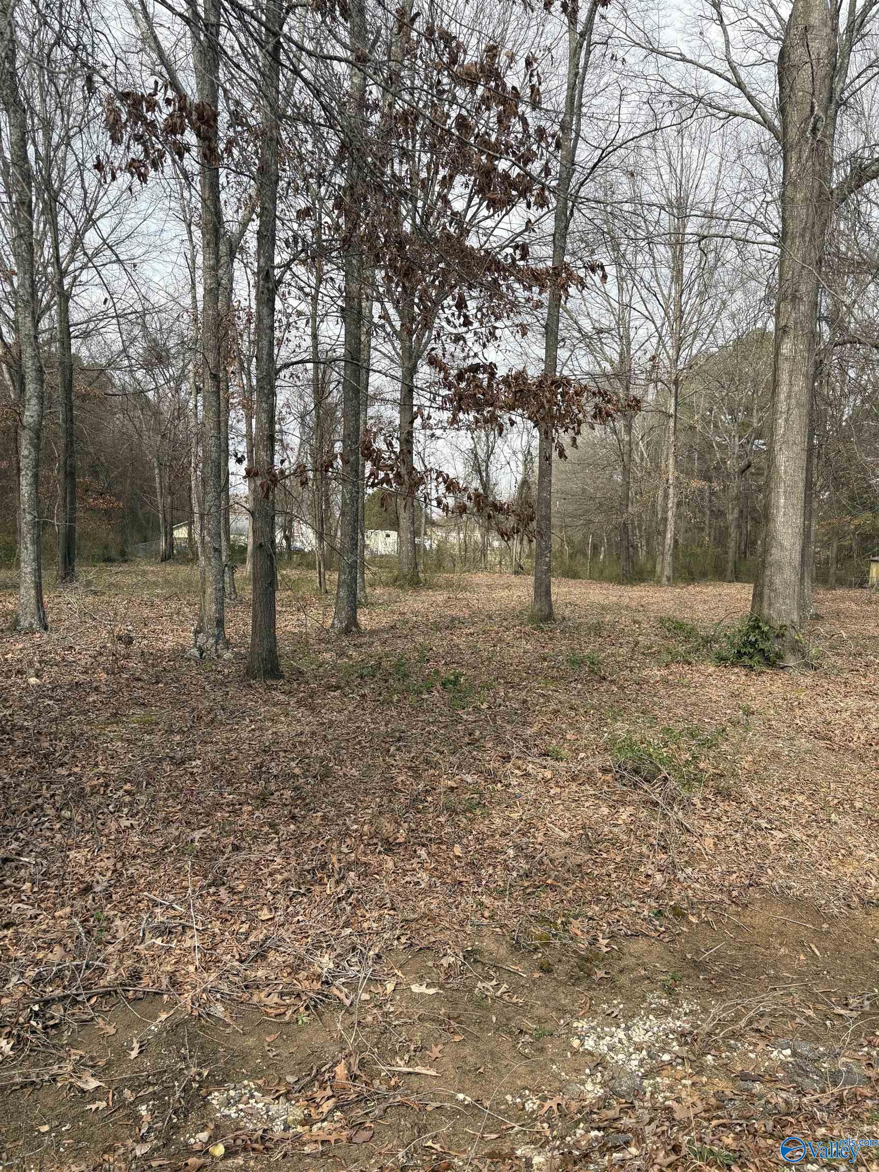 124 Hamaker Street, Decatur, Alabama image 2
