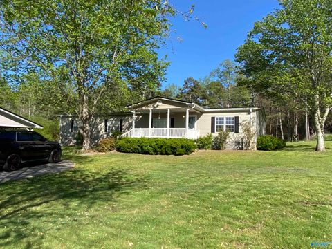 Photo of 230 Hope Street, Boaz, AL 35956 (MLS # 21905116)