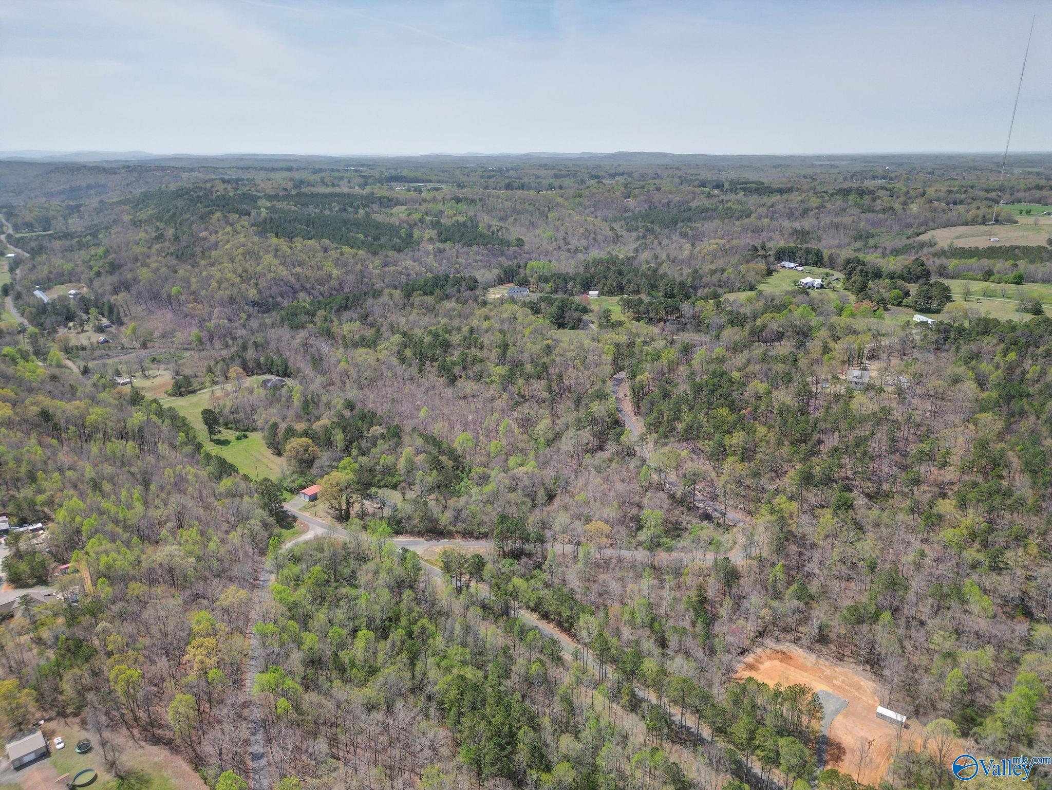 7701 Sand Valley Road, Attalla, Alabama image 12