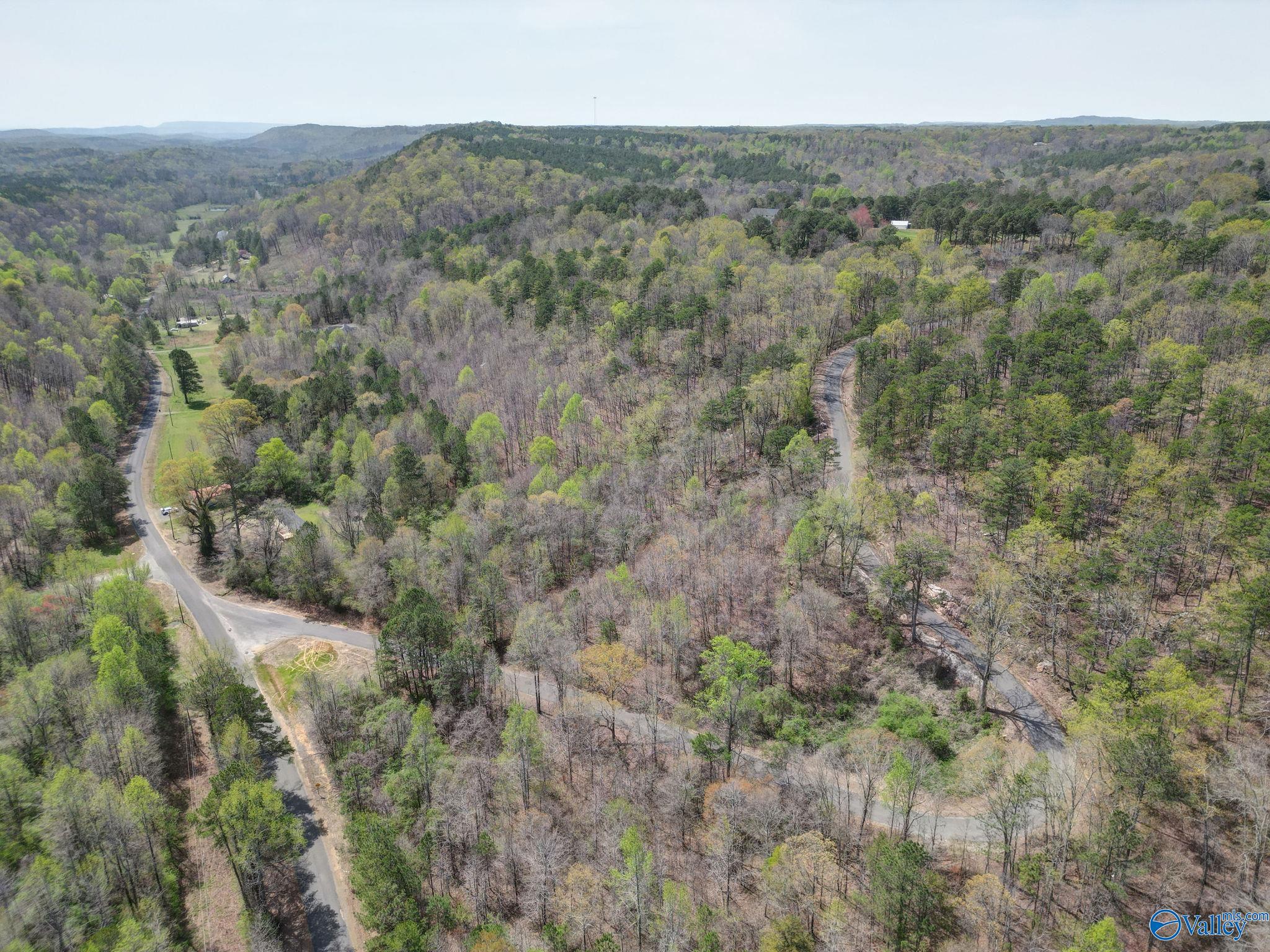 7701 Sand Valley Road, Attalla, Alabama image 11