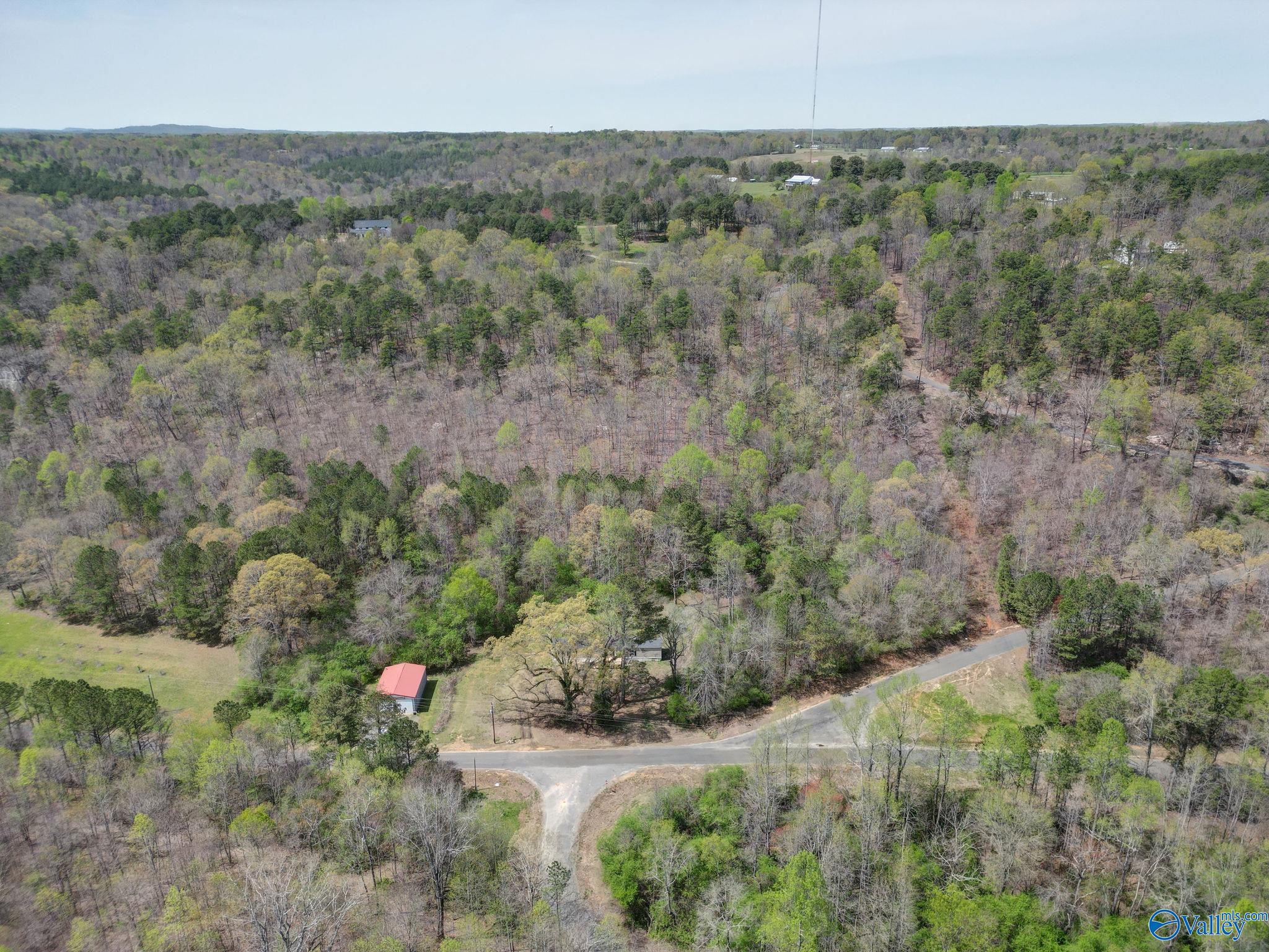 7701 Sand Valley Road, Attalla, Alabama image 10