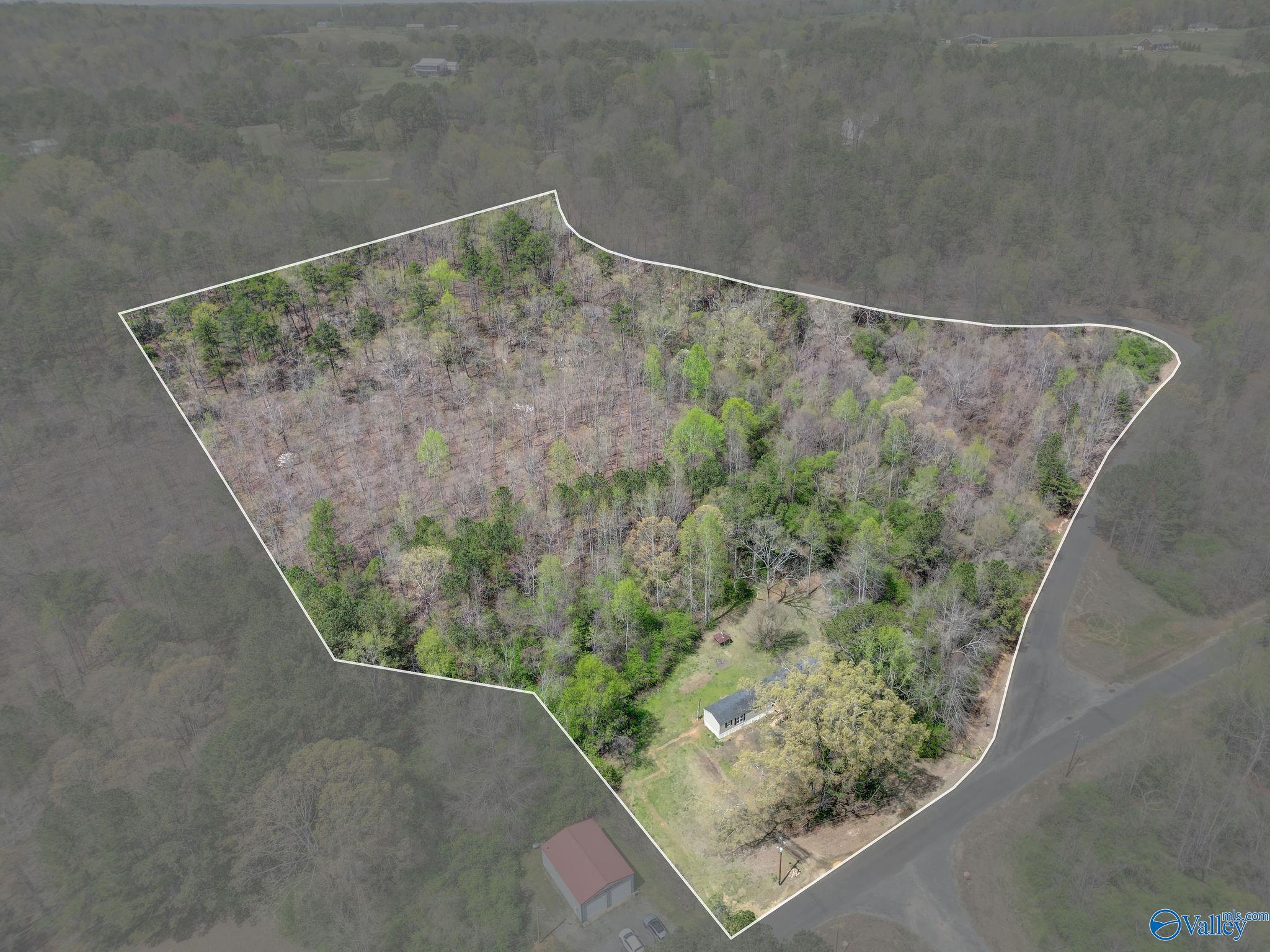 7701 Sand Valley Road, Attalla, Alabama image 8